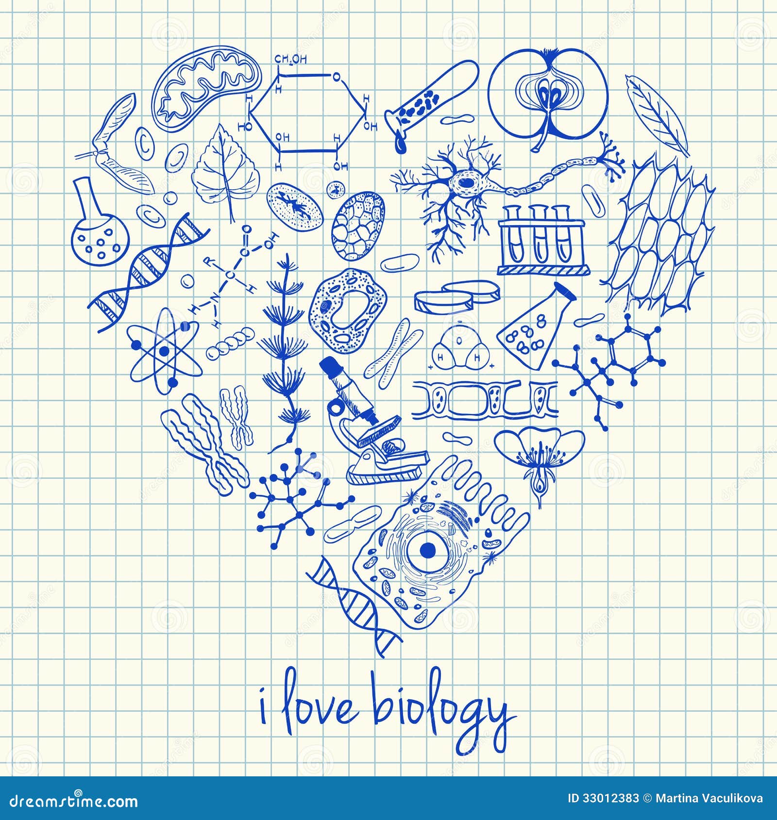 biology drawings in heart 