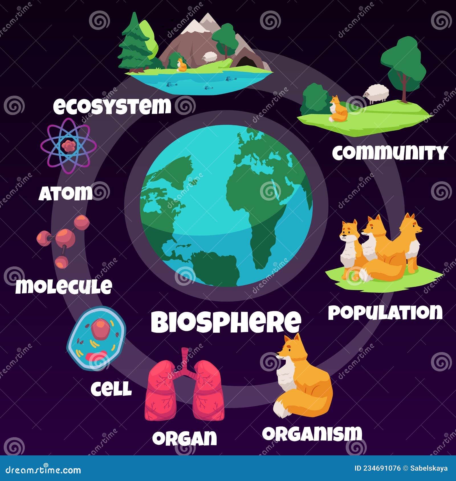 Biosphere ecology infographic for learning Vector Image