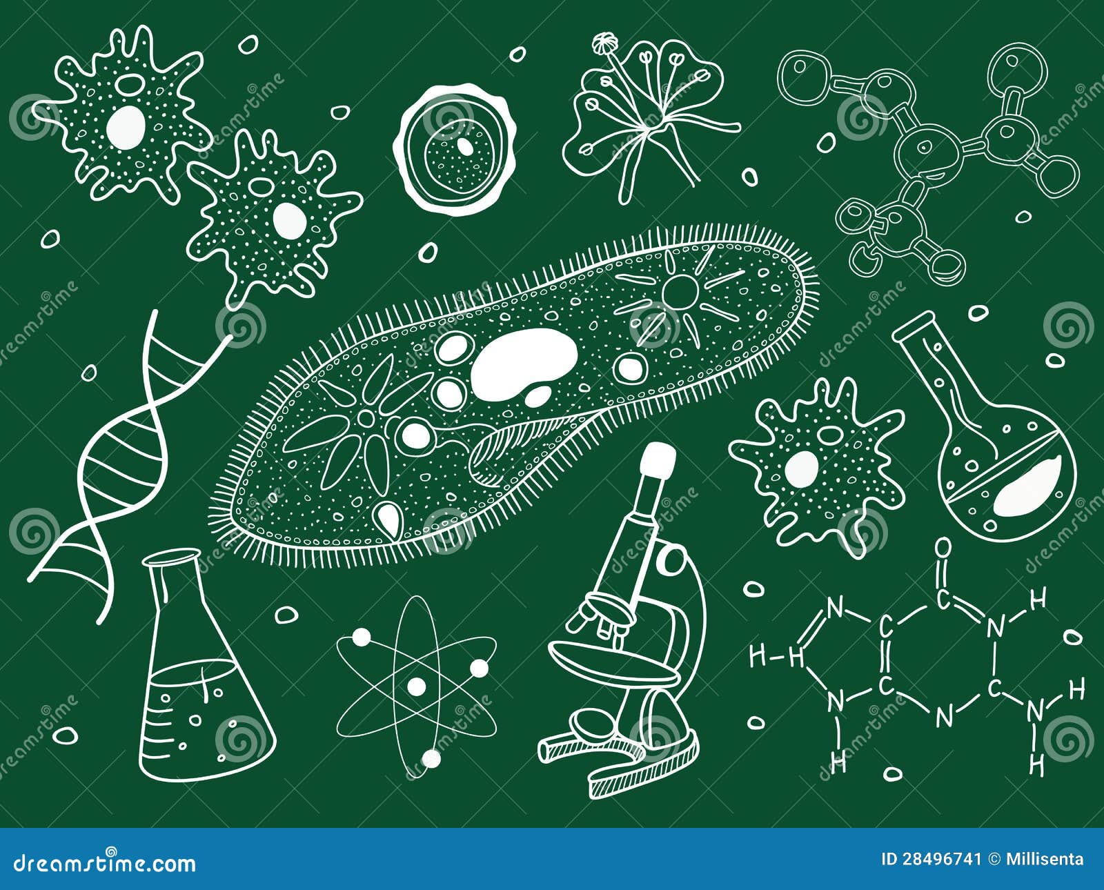 biology icons on school board.