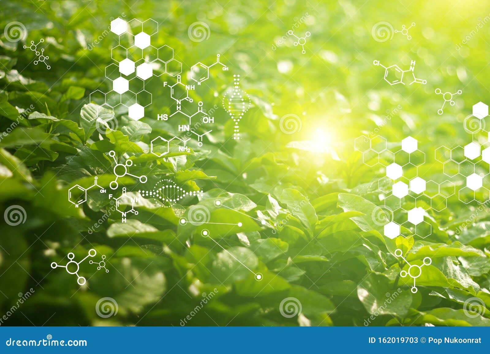 biology laboratory nature and science, plants with biochemistry structure on green background