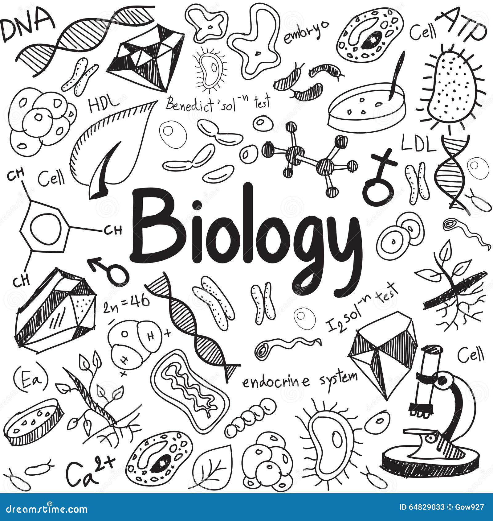 Download Biology Science Theory Doodle Handwriting And Tool Model ...