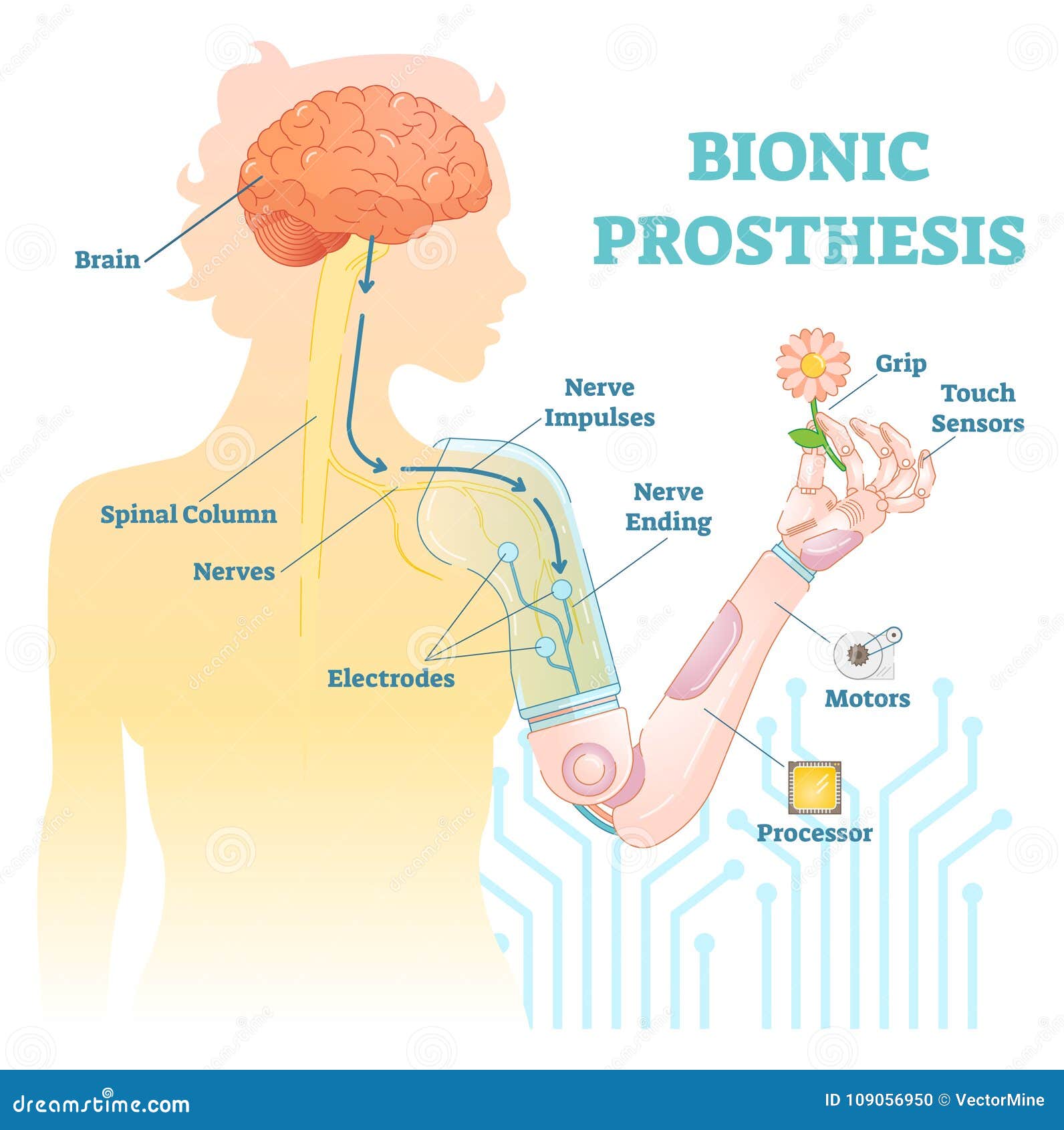 bionic prosthesis - robotic female hand