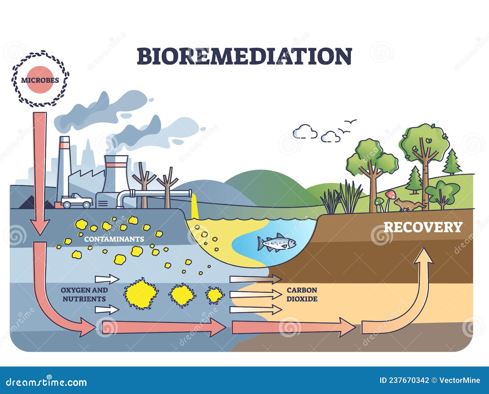 bioremediation and contaminated soil or water recovery outline diagram