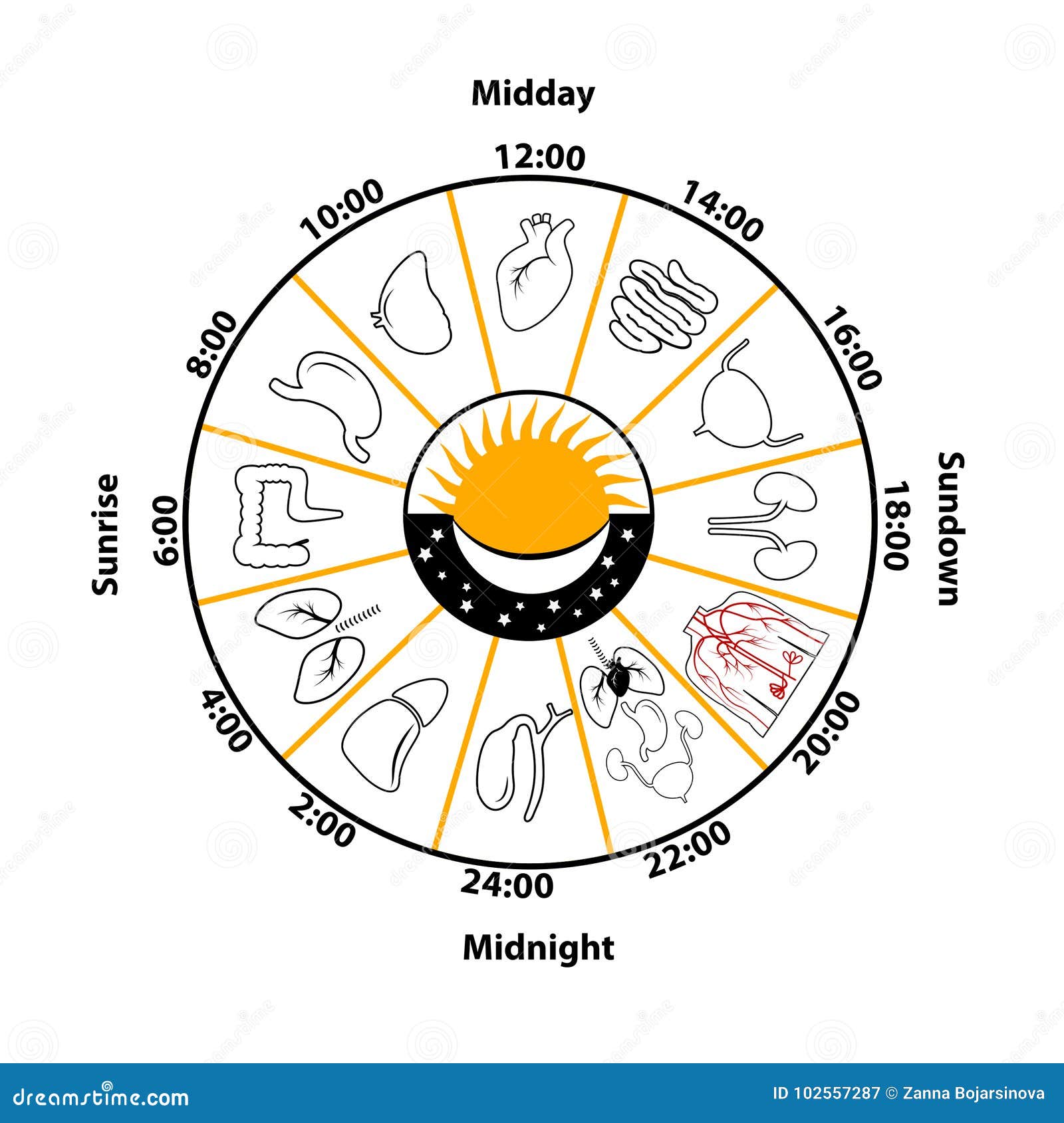 Free Daily Biorhythm Charts