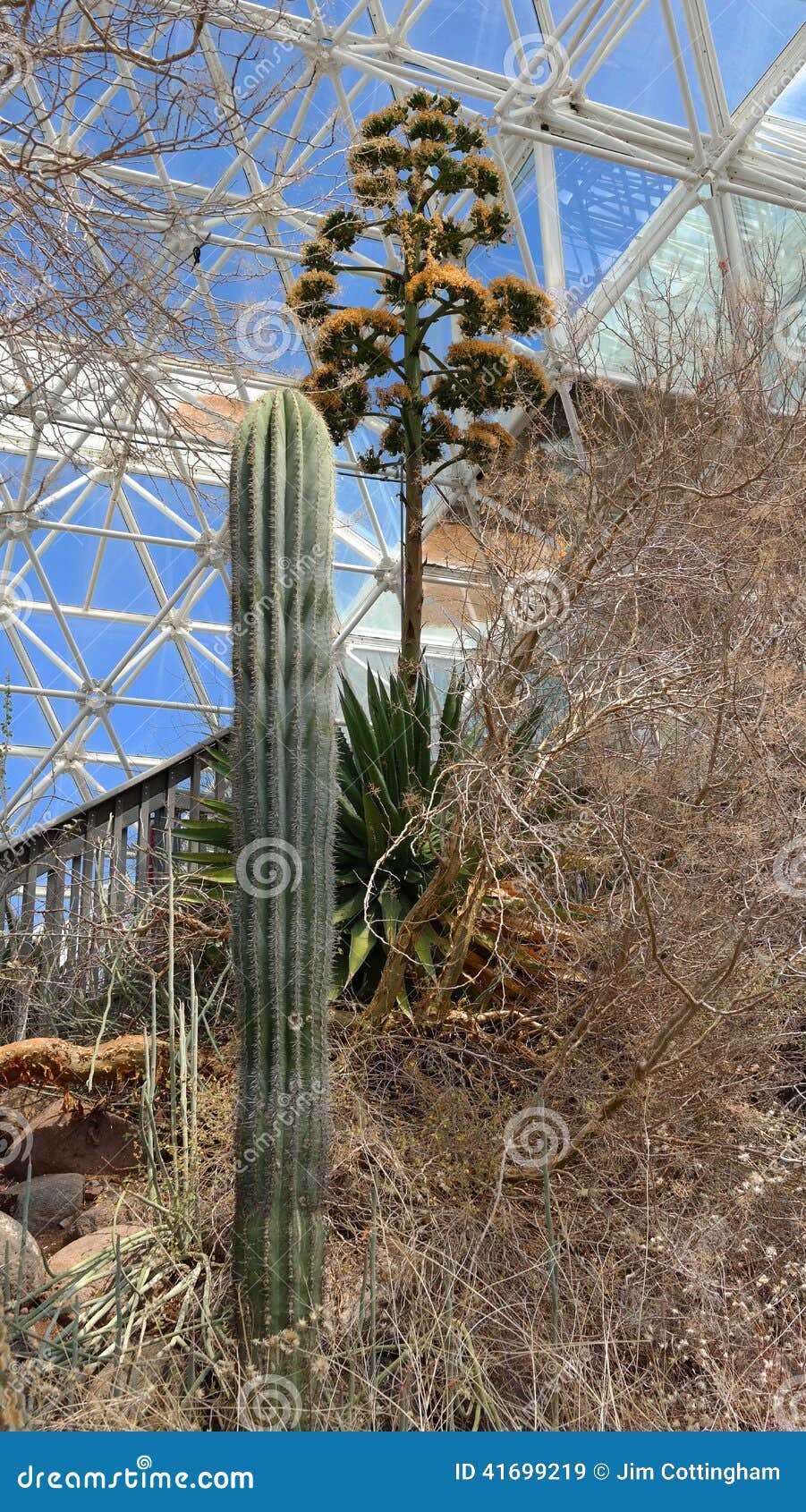 biosphere 2 - interior desert eco system