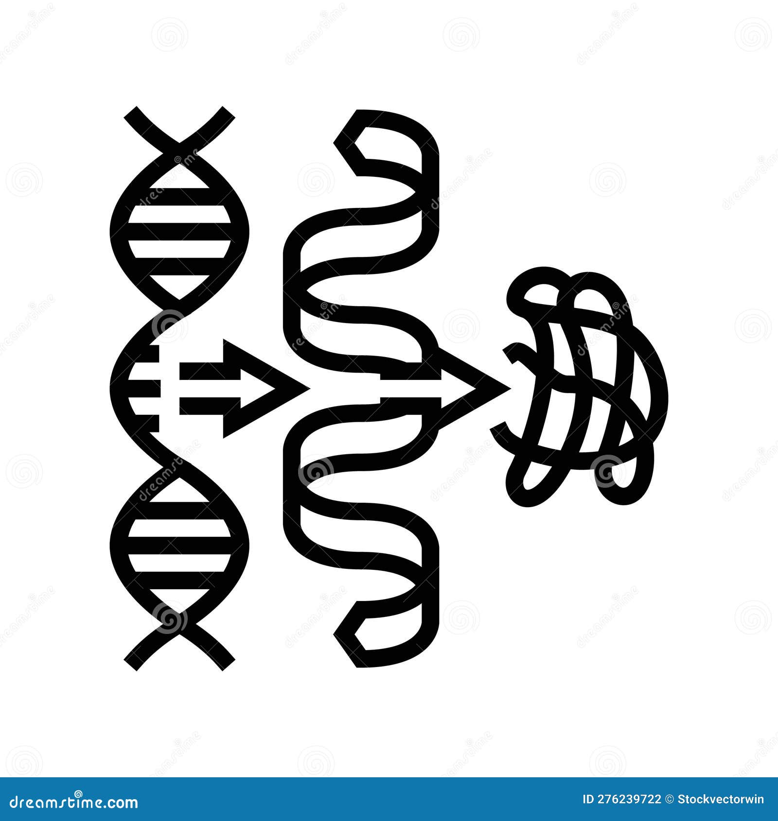 biosynthesis biochemistry line icon  