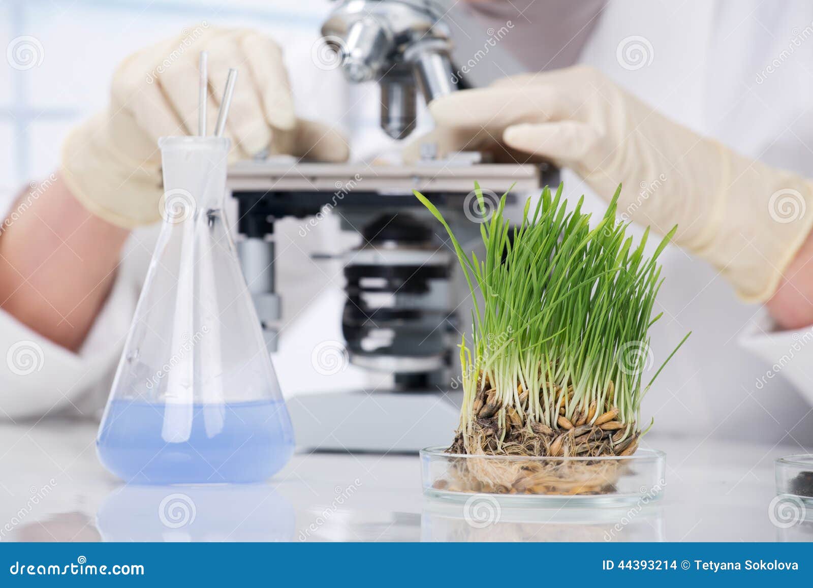 Biotechnology stock photo. Image of change, agriculture 44393214