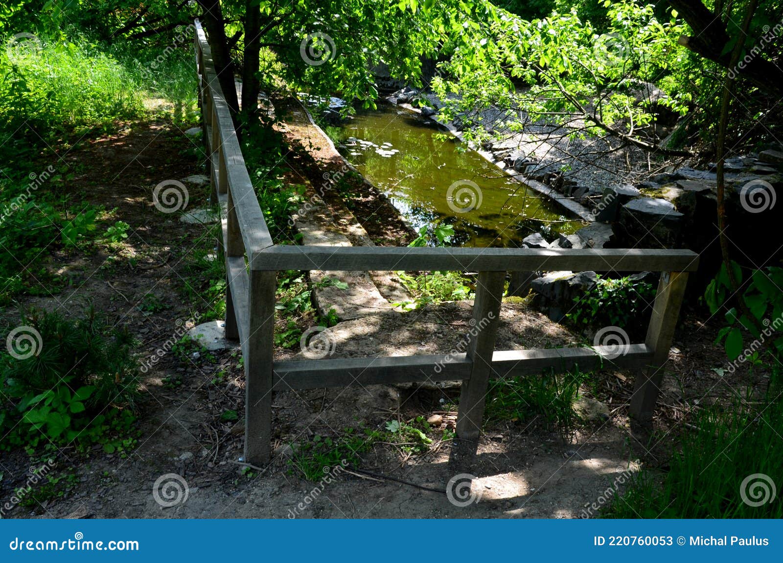 biozone for the reproduction of amphibians, frogs and newts in the city park is separated by a wooden railing on the shore