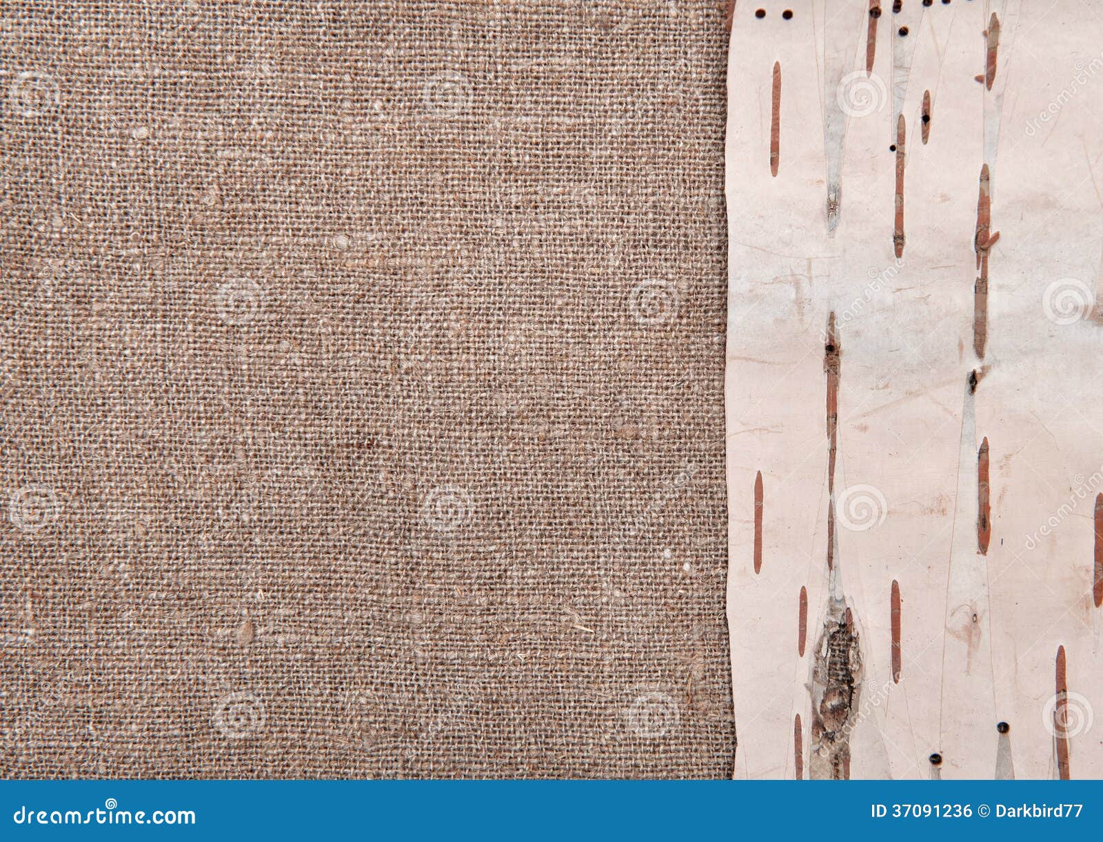 Birch Bark on Burlap Background Stock Photo Image of plank, rustic