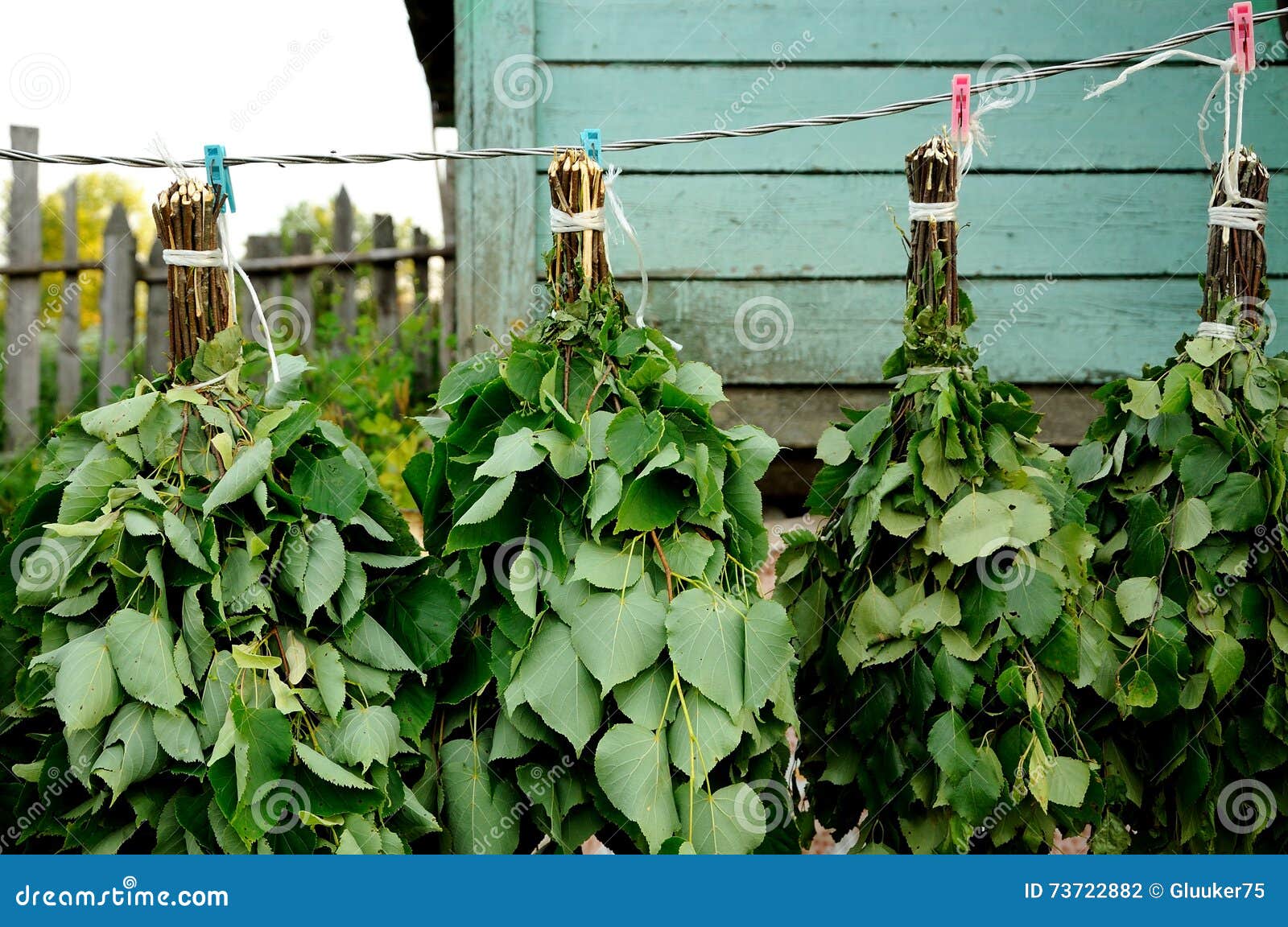 Birch bath brooms stock photo. Image of health, leaves 73722882