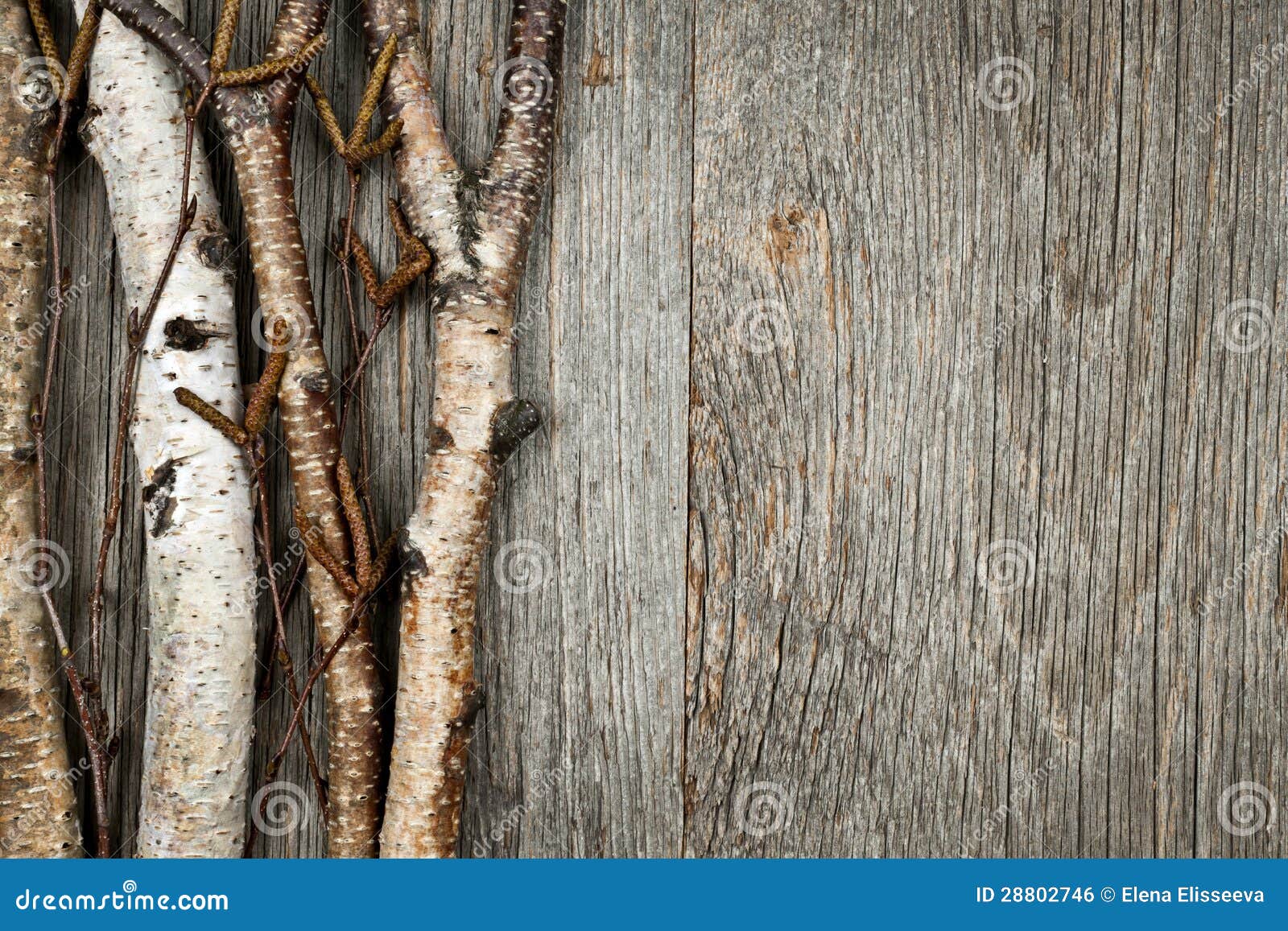 Birch Branches Background Royalty Free Stock Image - Image 