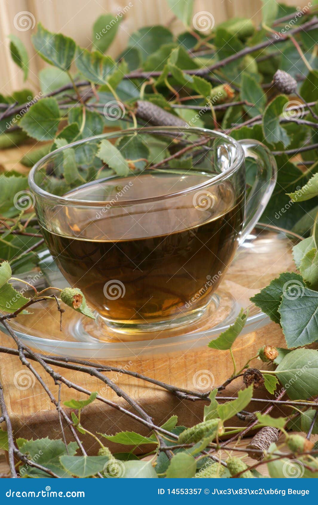 Birch leaf tea stock image. Image of health, kitchen 14553357
