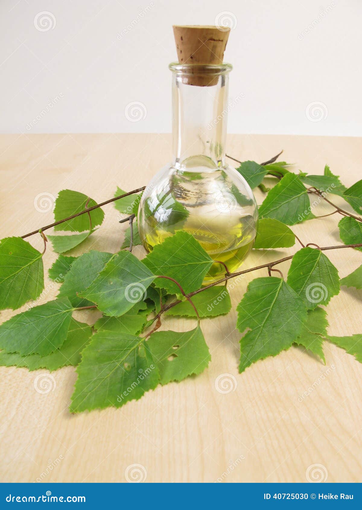 Birch oil stock photo. Image of birch, cellulite, twigs 40725030