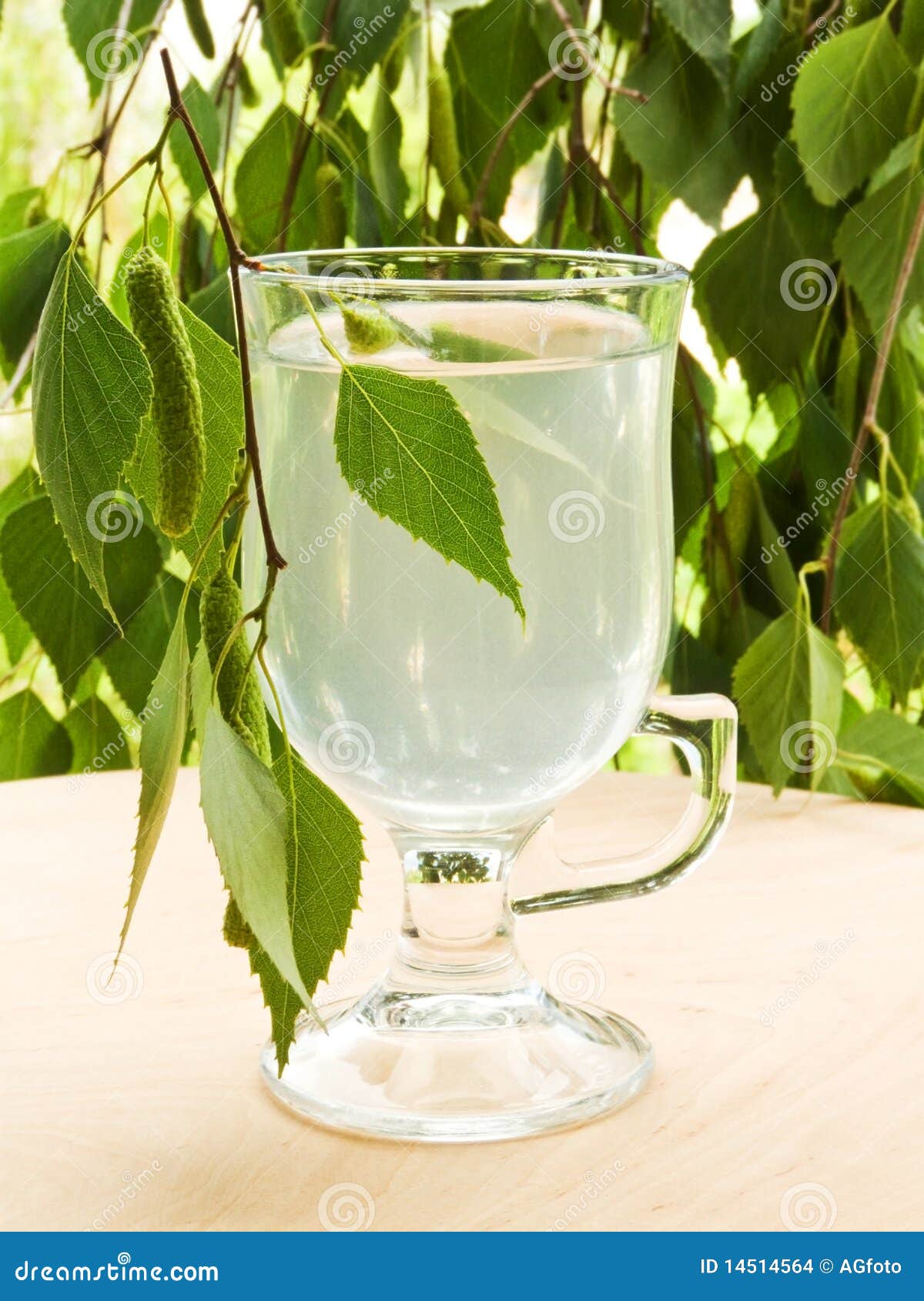Birch sap stock photo. Image of juice, liquid, healthy 14514564