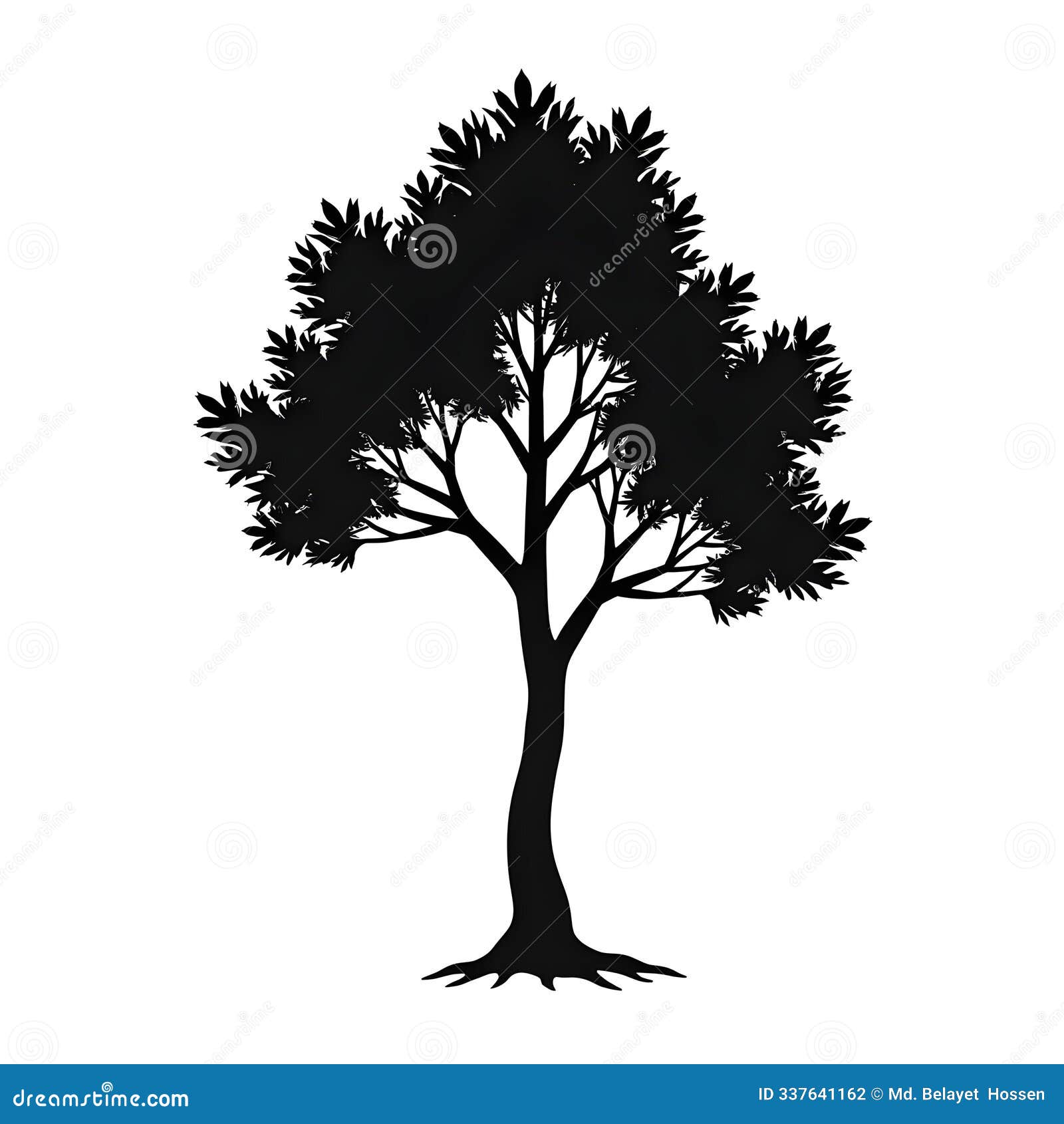 birch tree black colour silhouette 