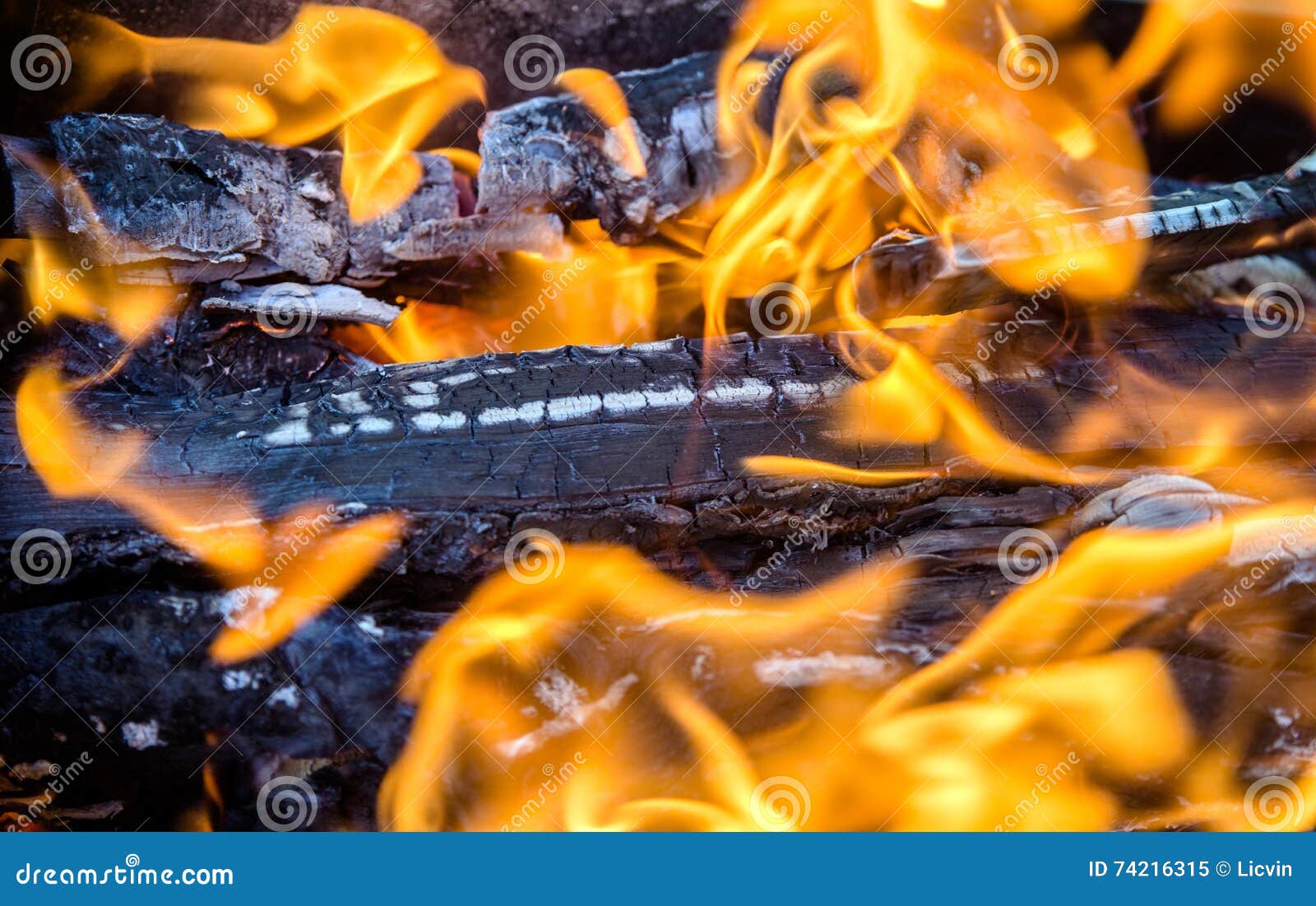 Birch wood burns stock image. Image of background, bright 74216315