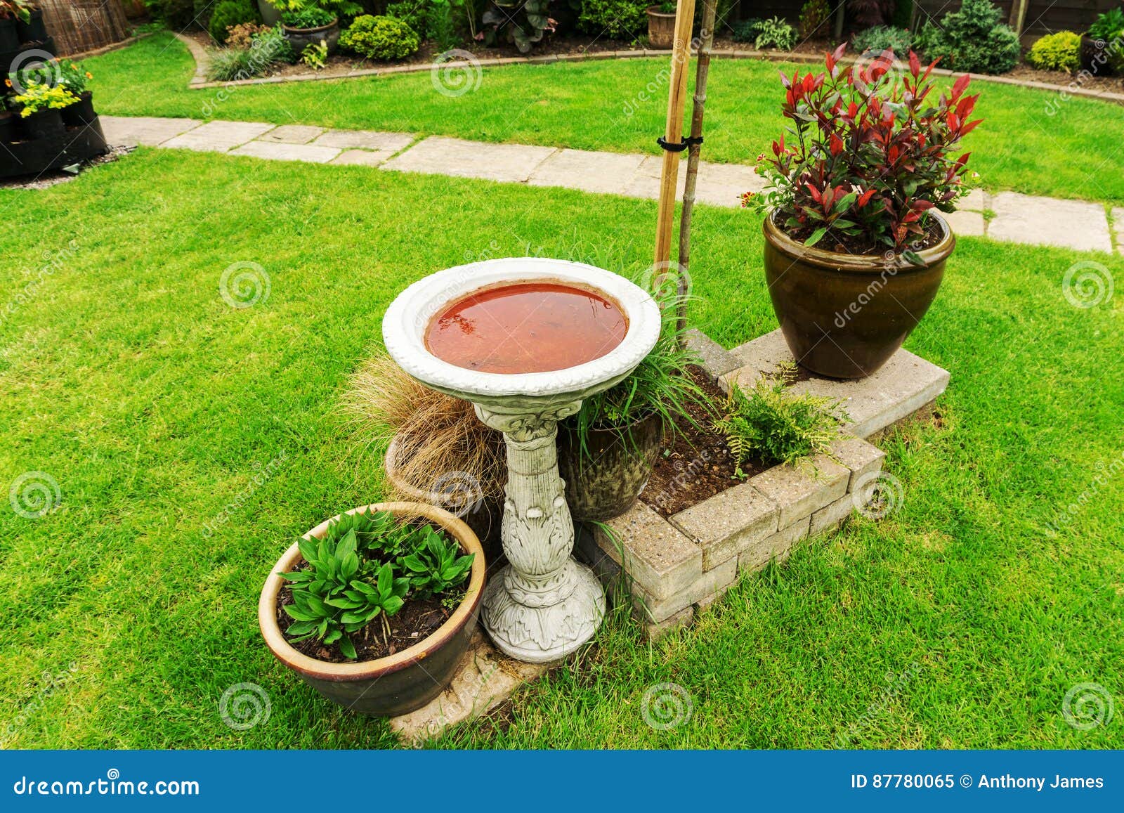Bird bath in a garden stock image. Image of greenhouse - 87780065