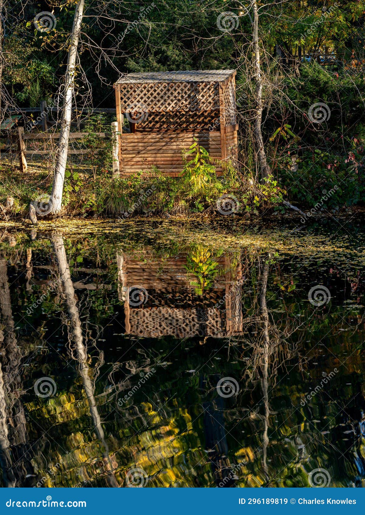 Bird Blind in a Local Part with Pond Reflection Stock Image Image of