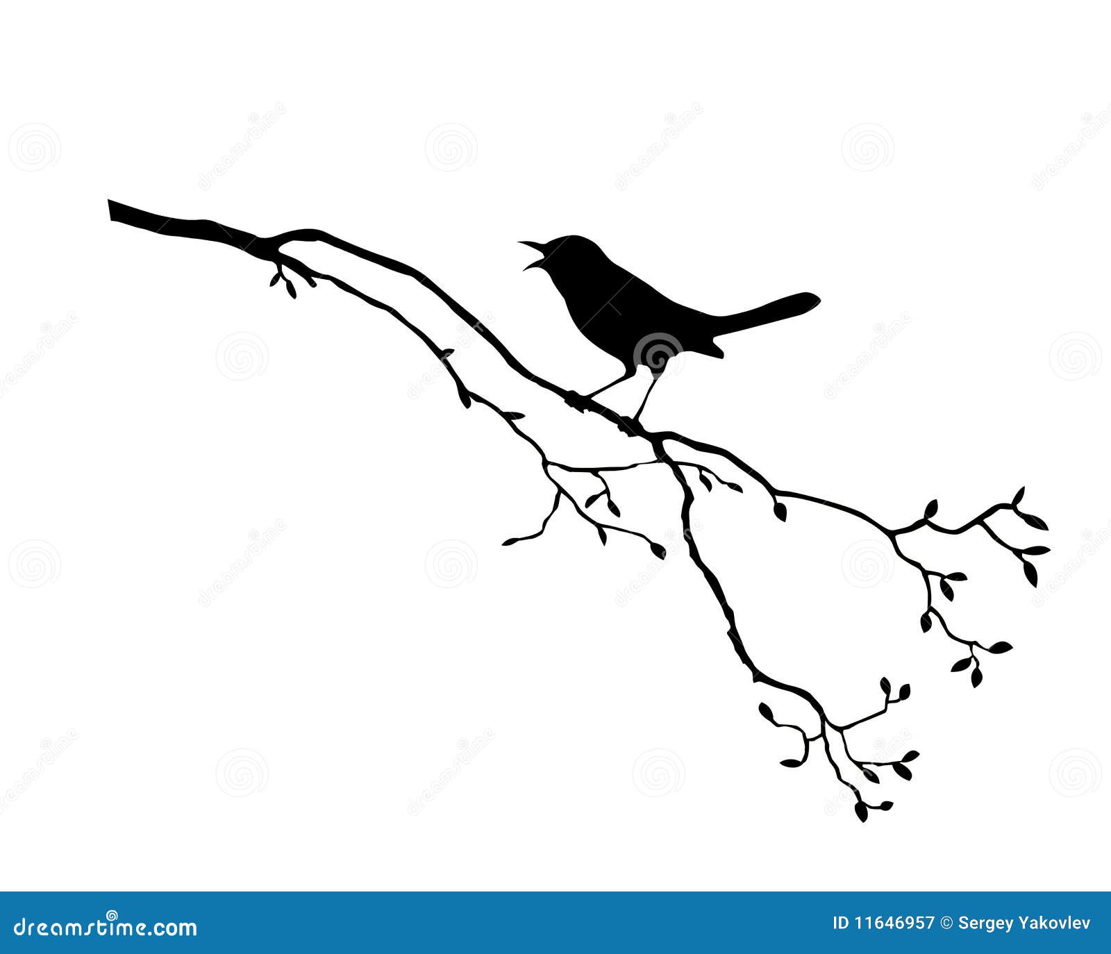 bird on branch tree