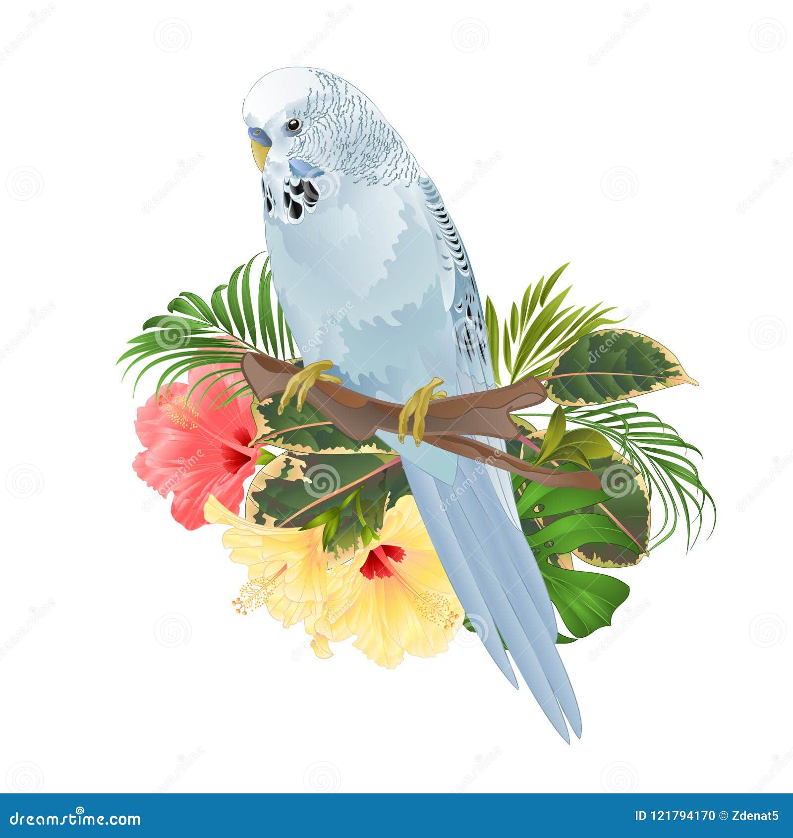 Blue Parakeet Stock Illustrations – 9,529 Blue Parakeet Blue Parakeet Stock Illustrations – 9,529 Blue Parakeet