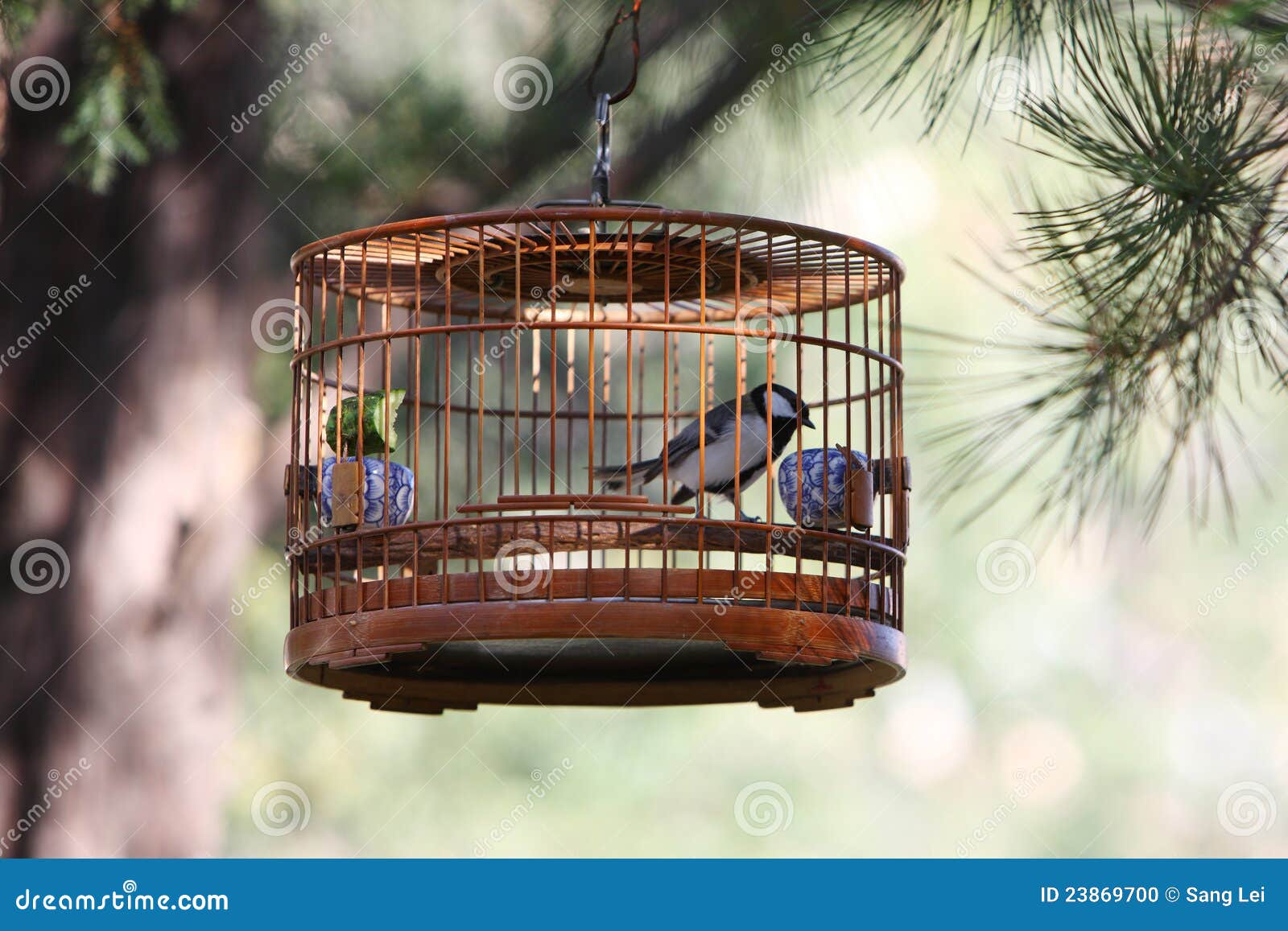 Bird in cage stock photo. Image of arts, wooden, detail 23869700