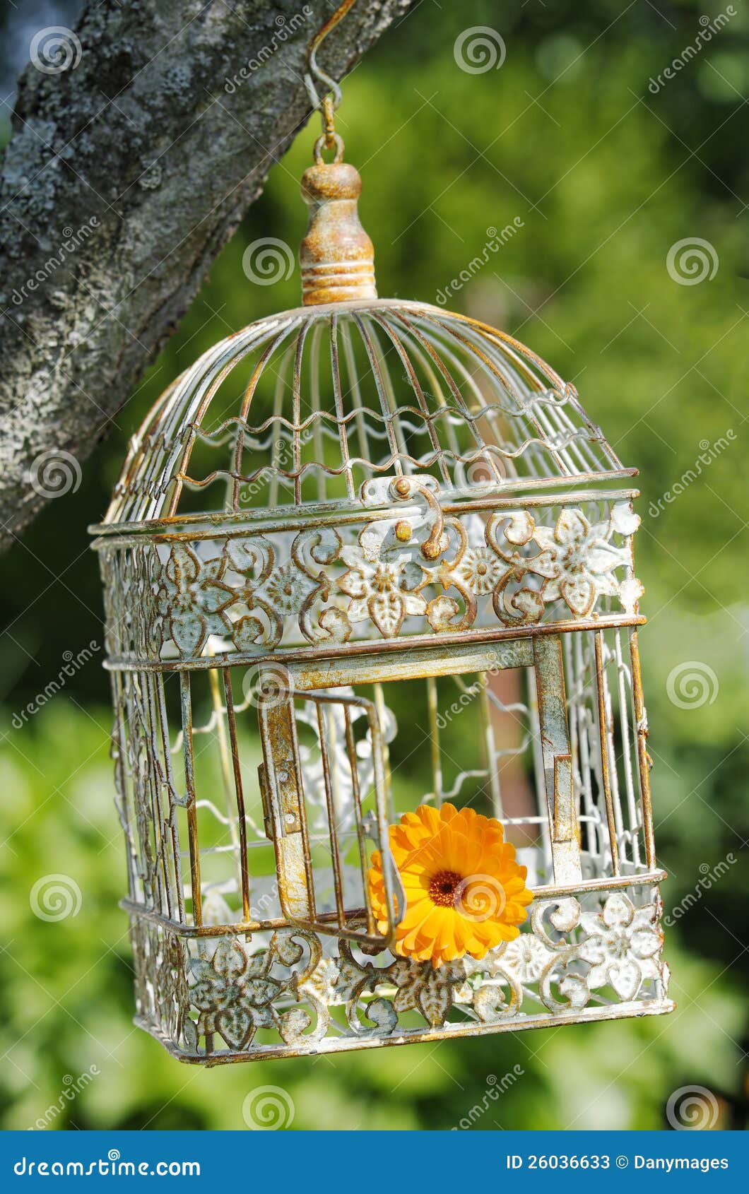 Bird cage stock image. Image of open, freedom, garden 26036633