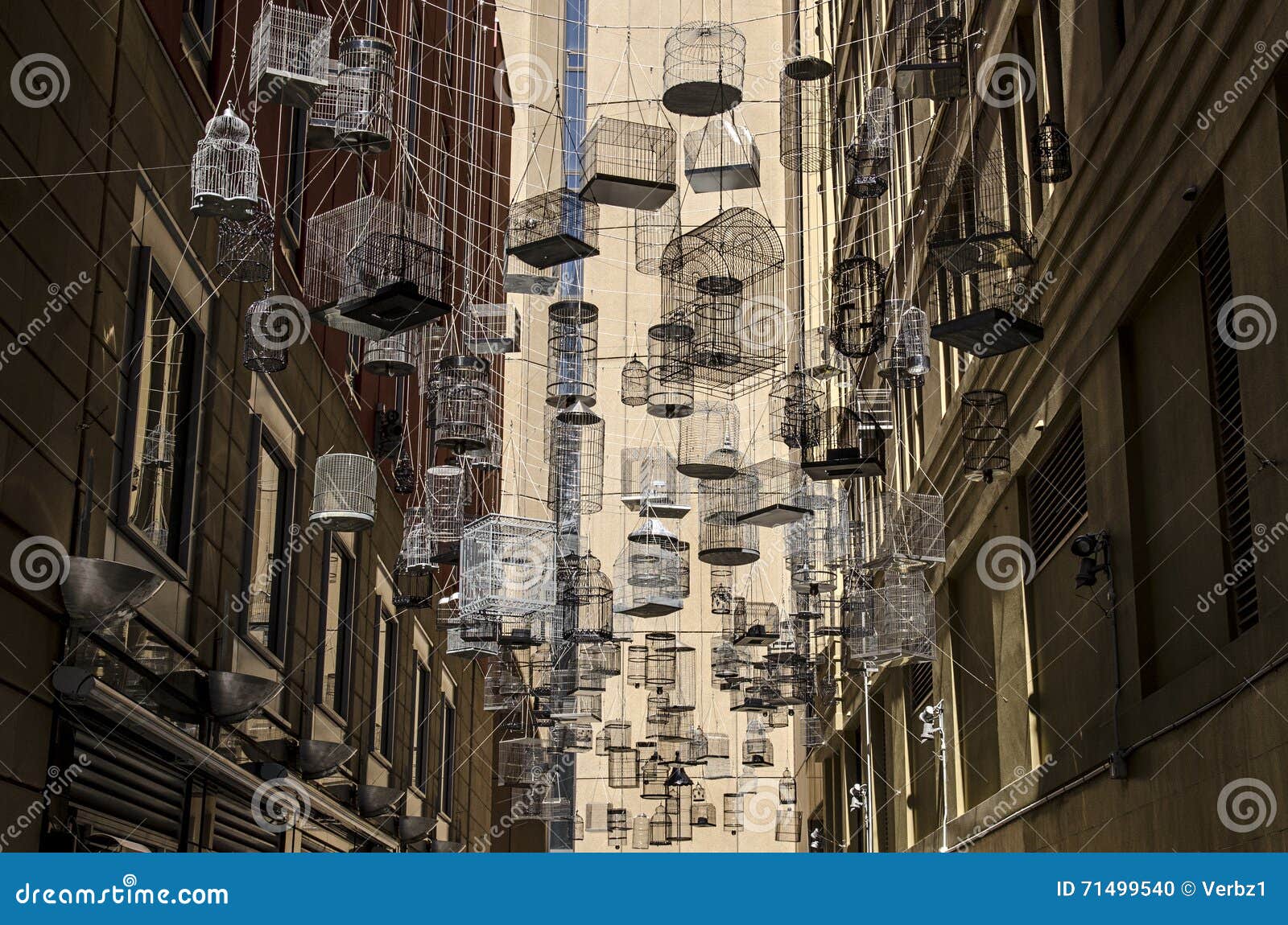 Bird cage alley stock photo. Image of birdcage, cage 71499540