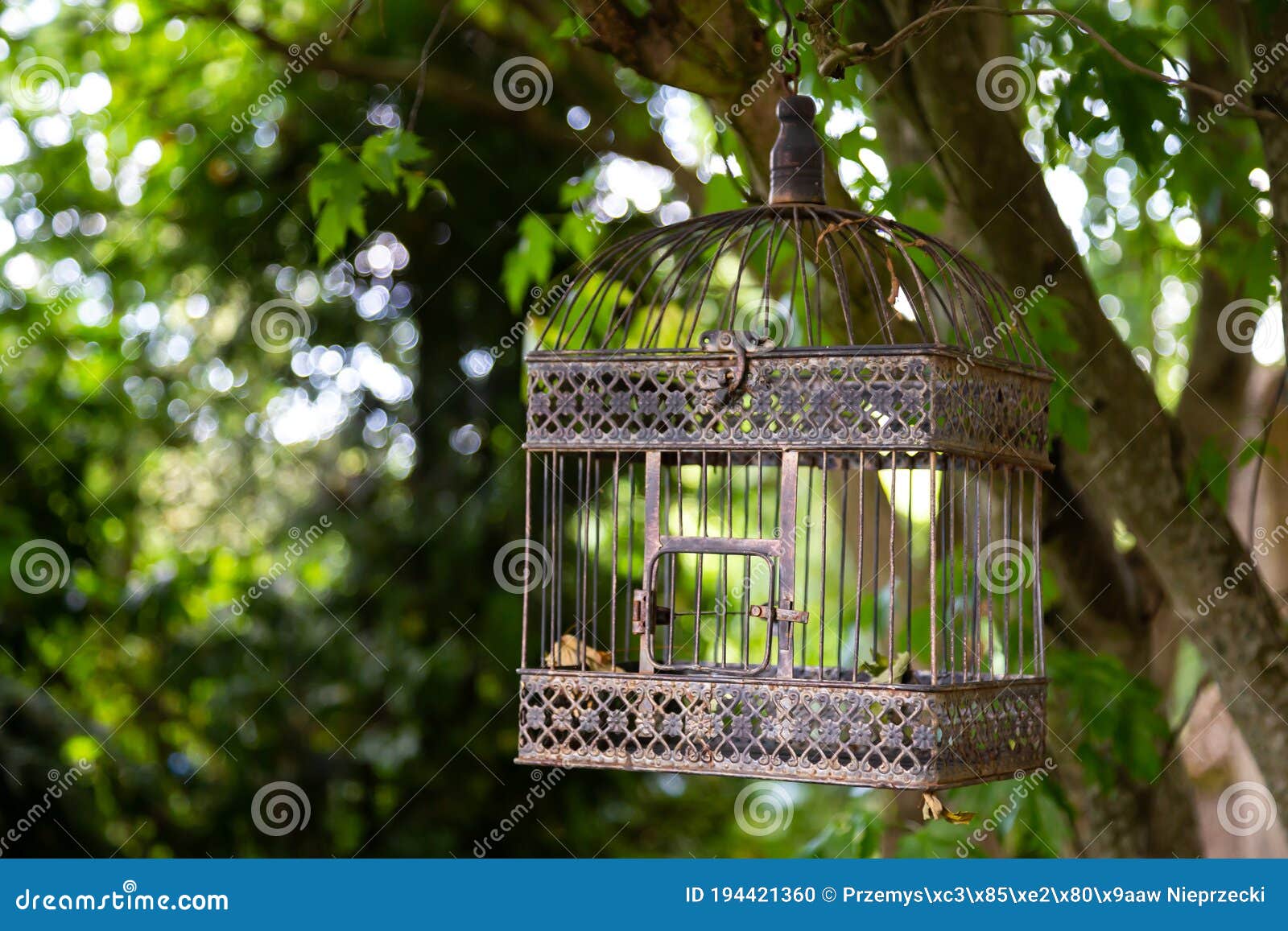 Vintage Bird Cage in the Garden Stock Photo Image of rusty, outdoor