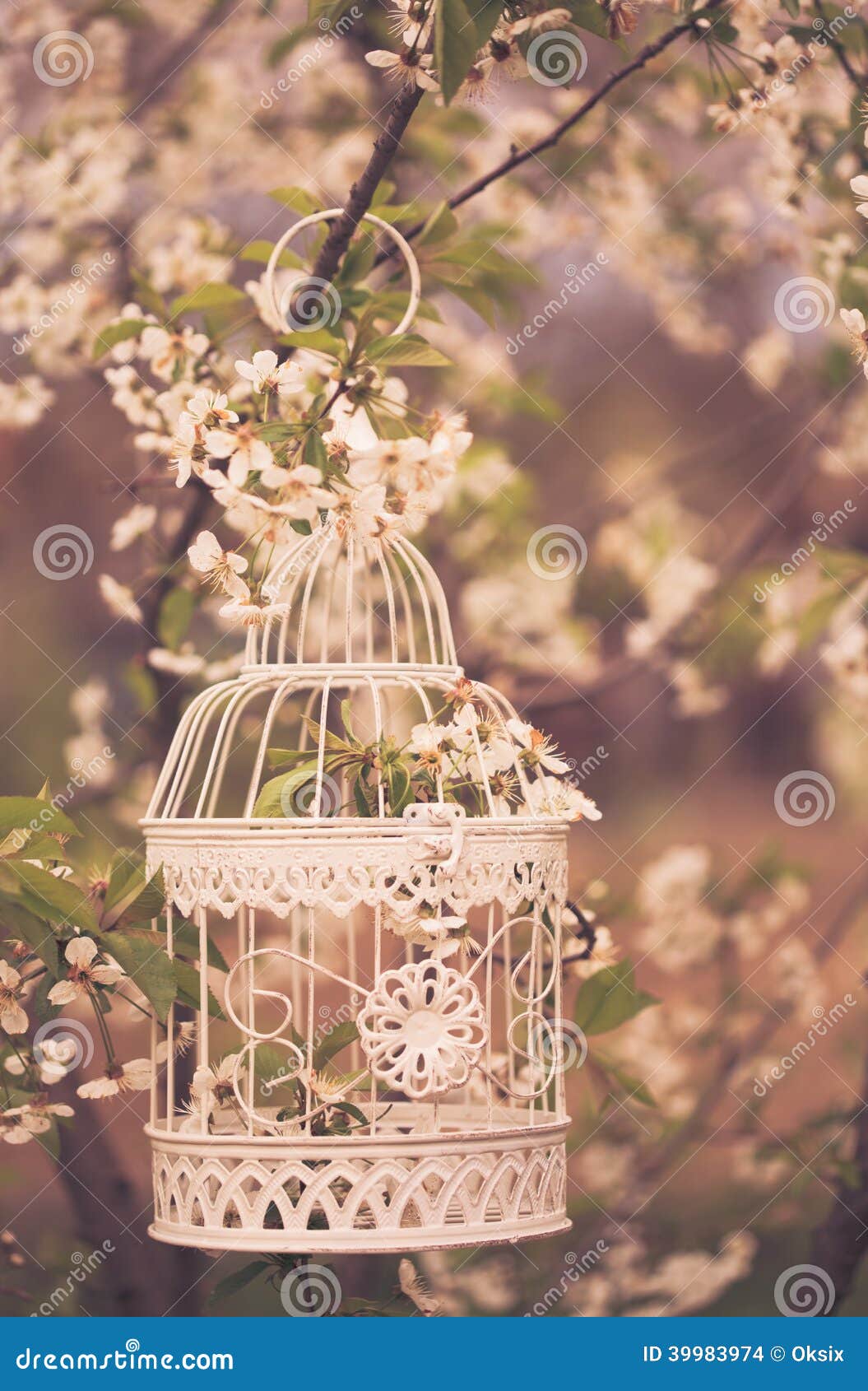 Bird cage romantic decor stock photo. Image of concept 39983974