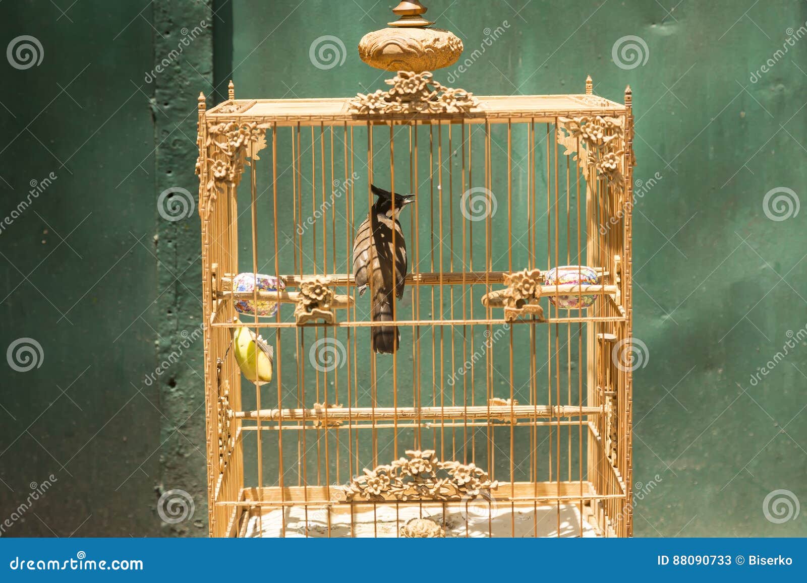Bird in the cage stock image. Image of freedom, decorated 88090733