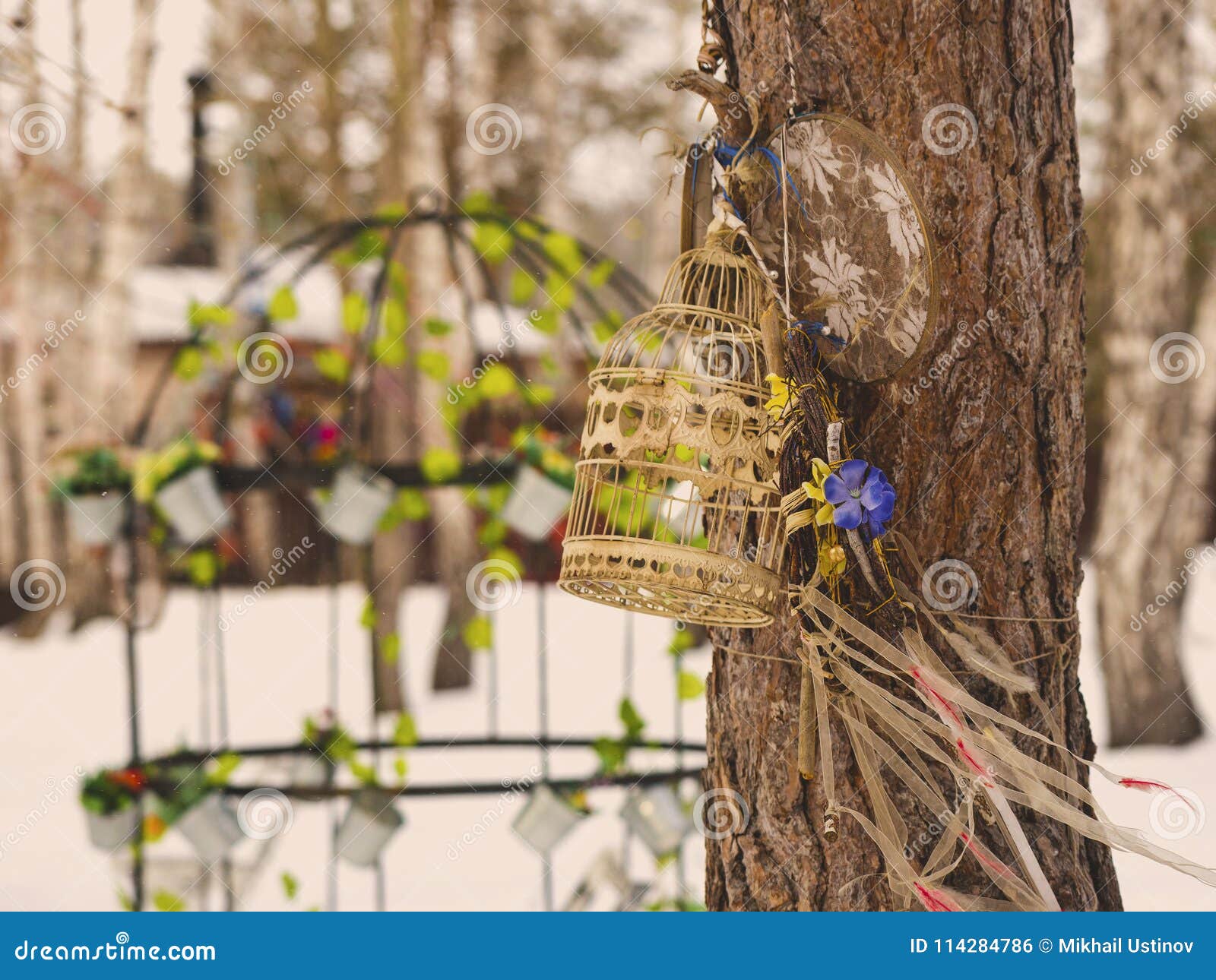 Bird cage on a tree stock photo. Image of natural, nest 114284786