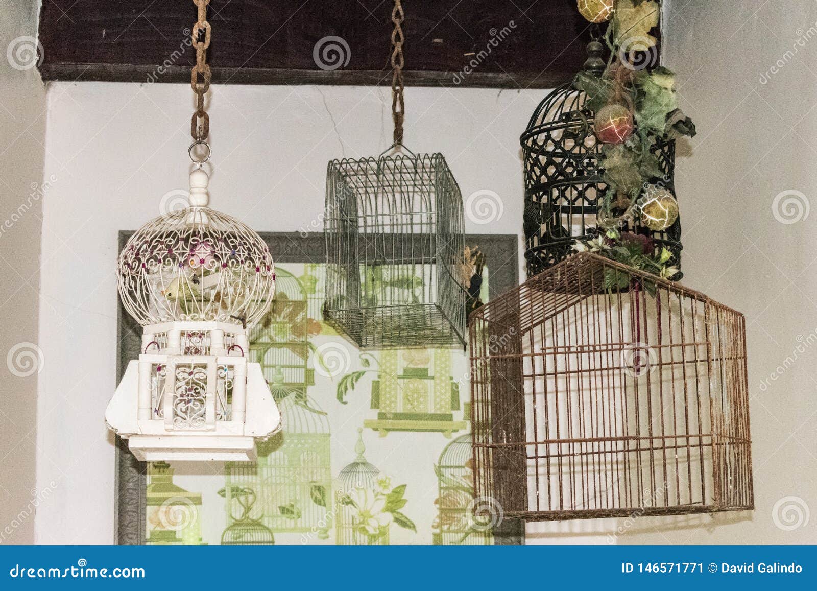 Bird Cages Hanging from the Ceiling Stock Image Image of beam, indian