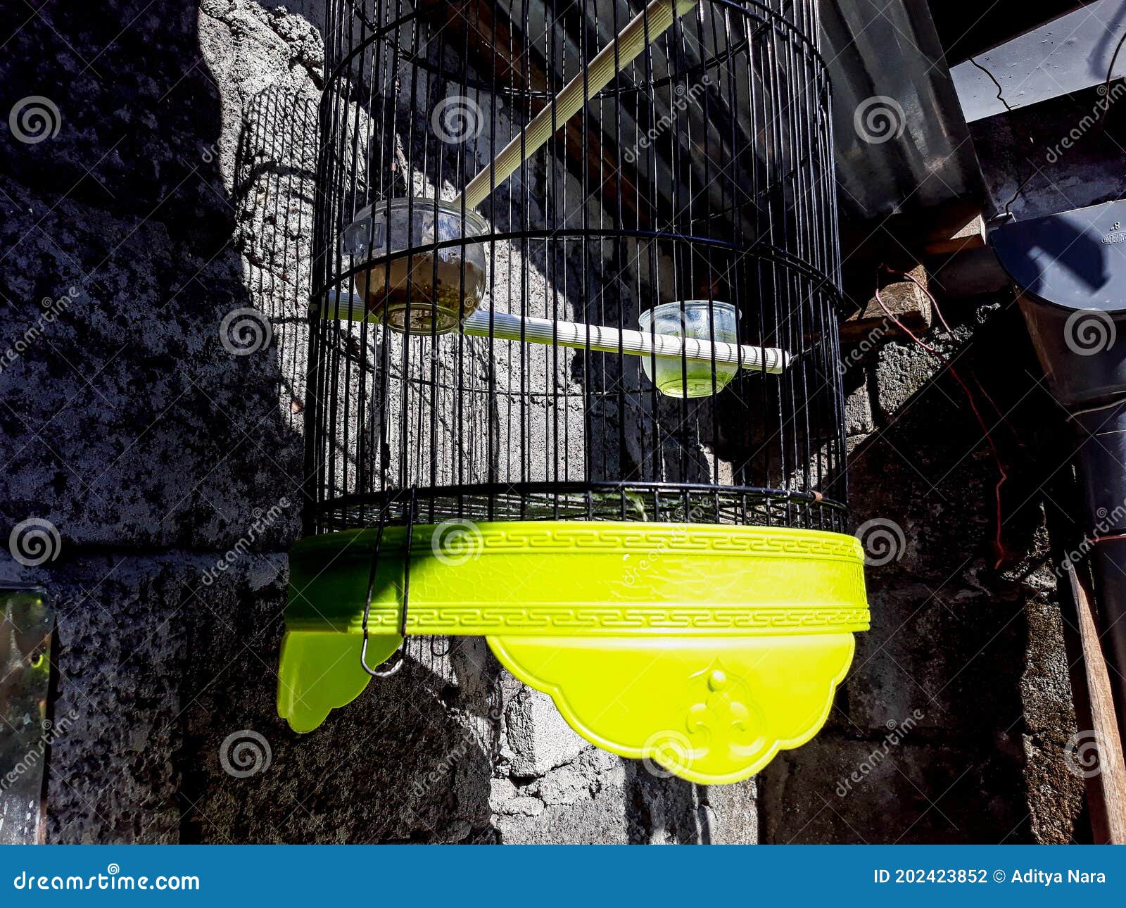 Bird Cages in the Home Yard Stock Photo Image of cages, leaf 202423852