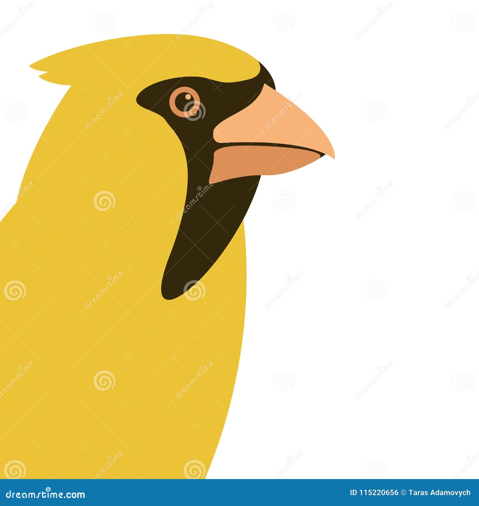 bird cardinal head   flat style profile