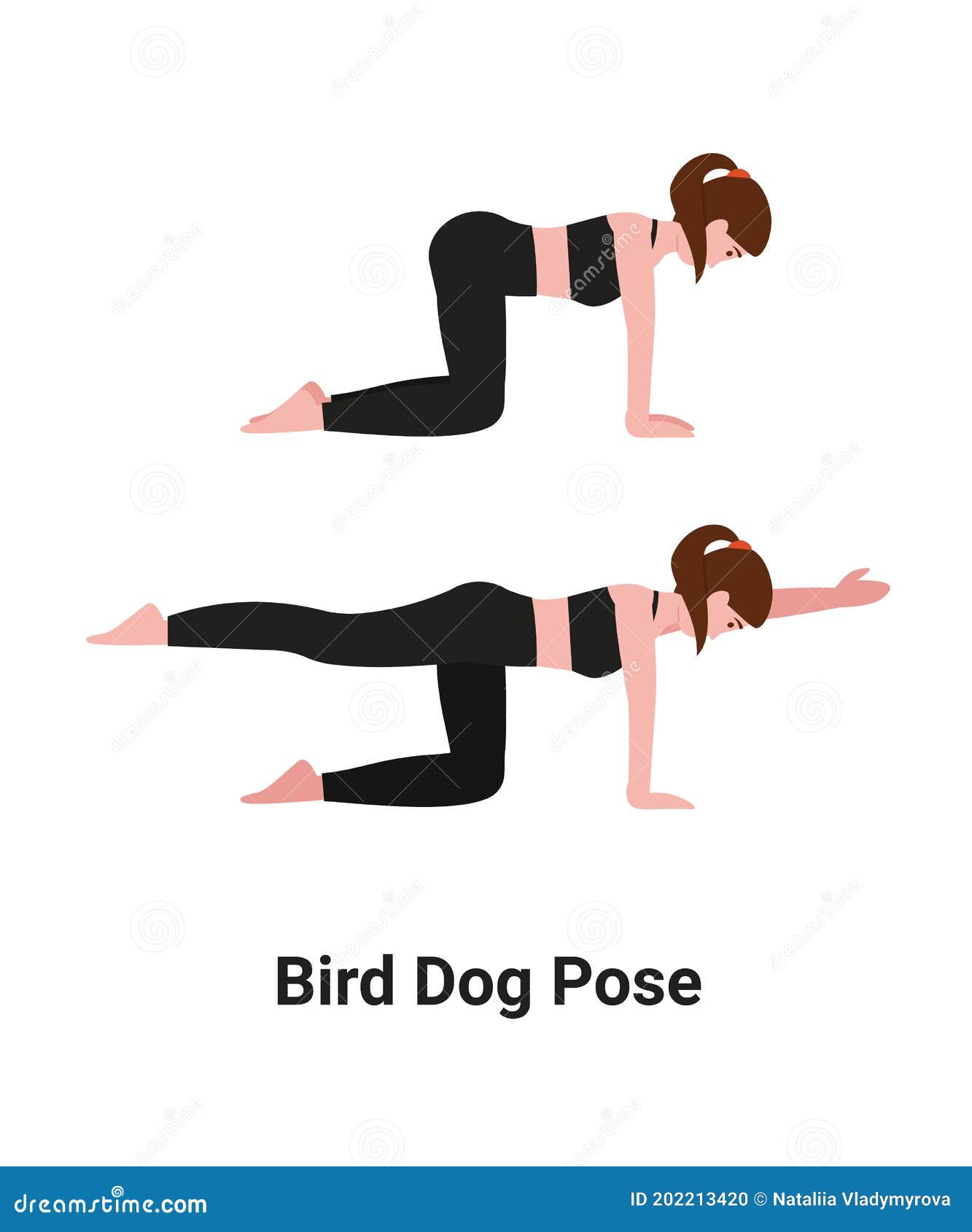 bird dog yoga pose woman character girl do bird dog exercise quadruped dandayamana bharmanasana yoga pose back pain 202213420