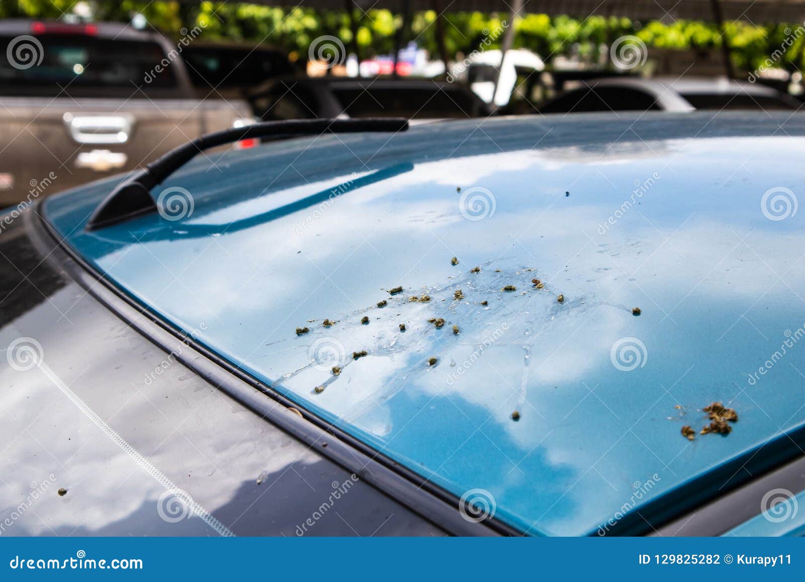 Bird Droppings on Blue Car. Stock Photo Image of horizontal