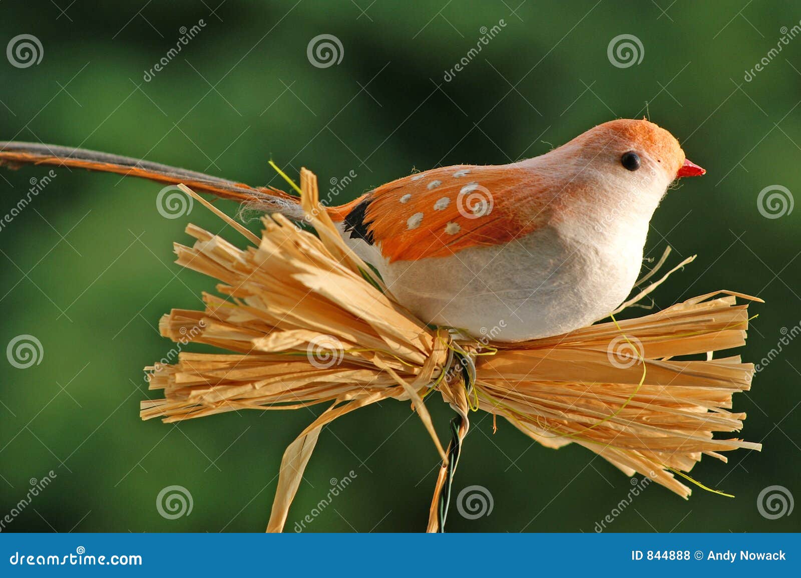 Bird dummy 2 stock photo. Image of animal, decoration, ventriloquist