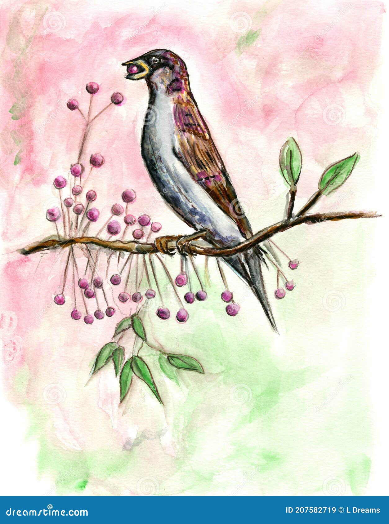 Bird Eating Berries Watercolor Illustration Stock Illustration