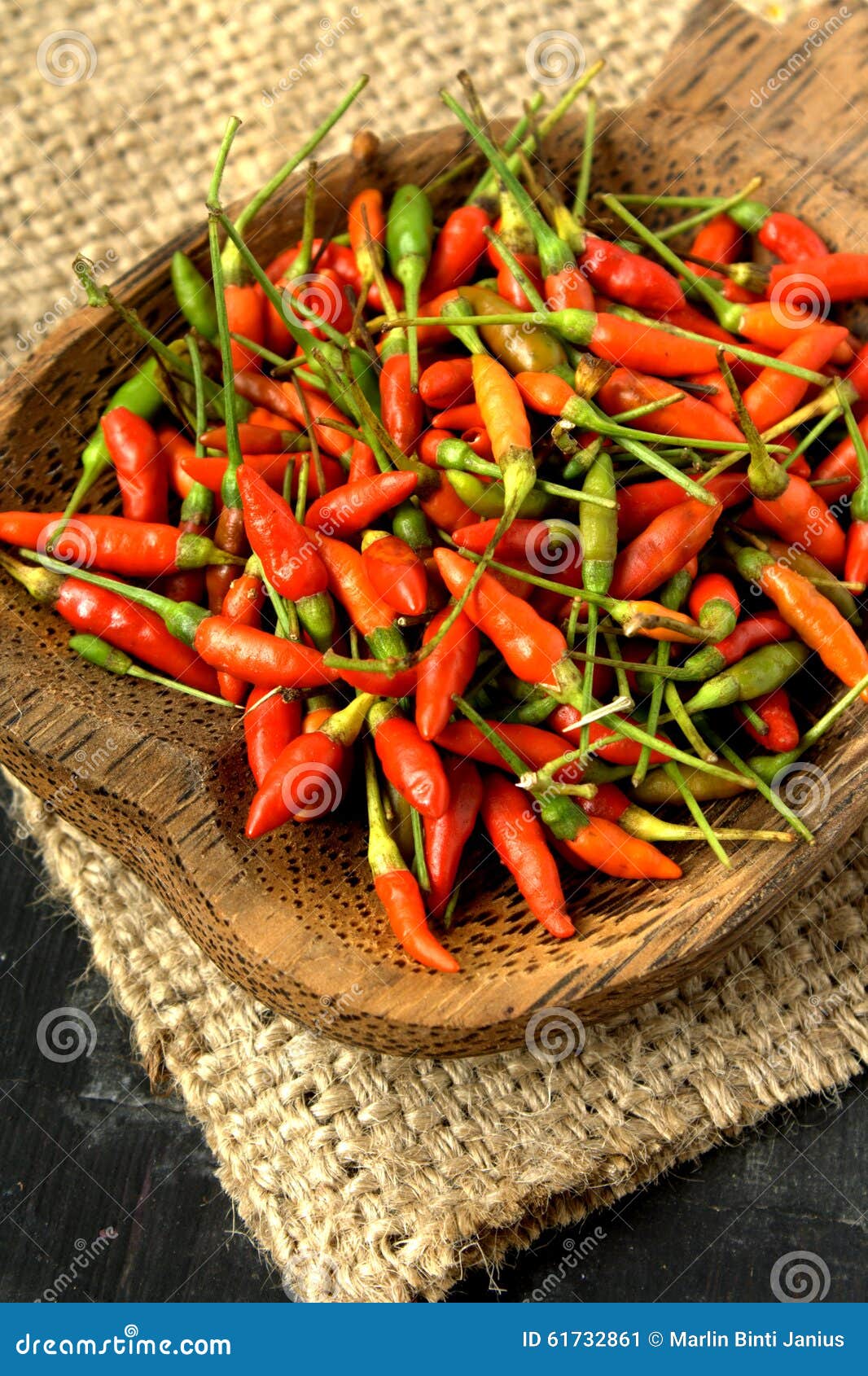 Bird eye chillies stock image. Image of cooking, chillies 61732861