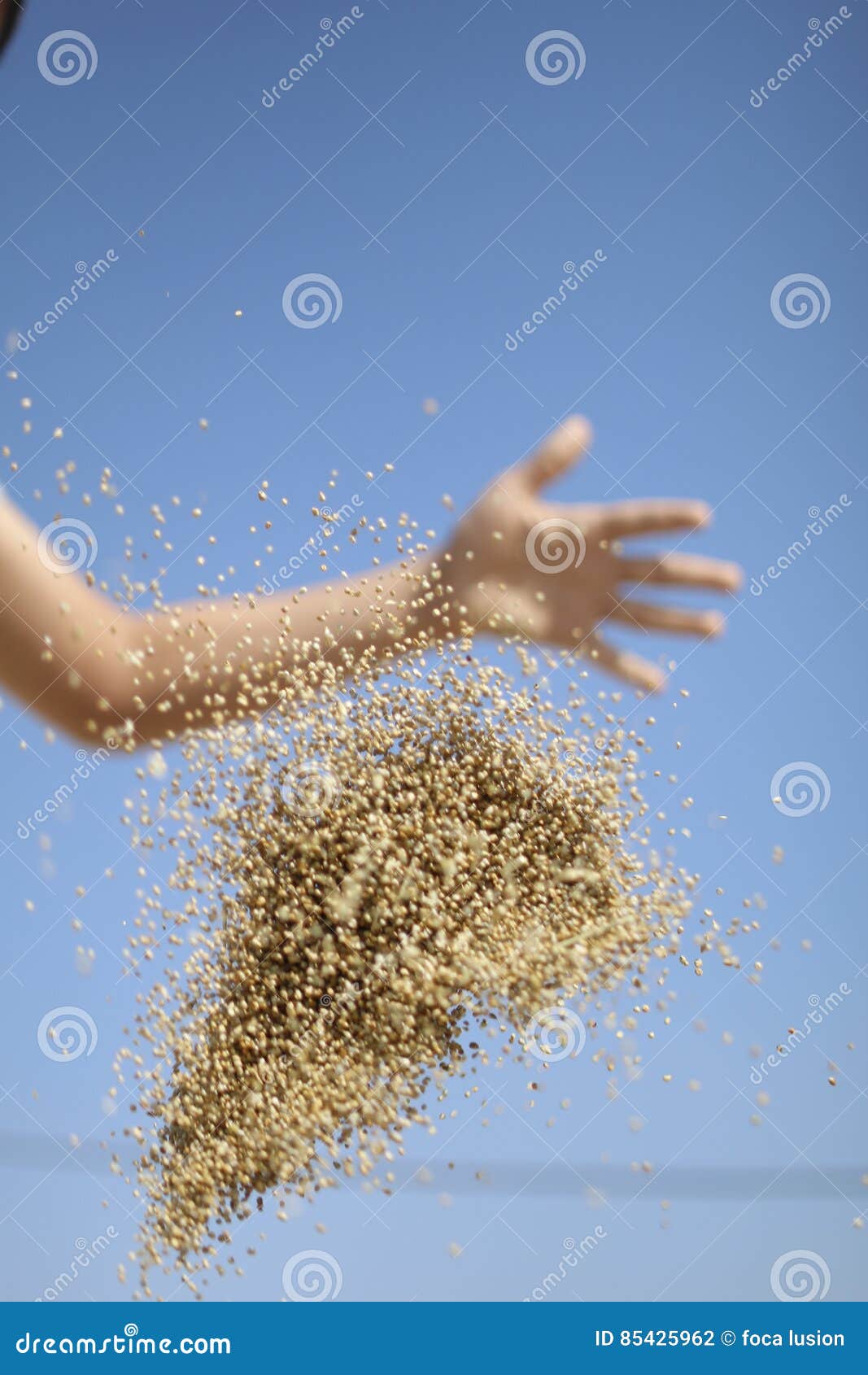 Bird feed stock photo. Image of colourful, feed, bird - 85425962, image size:1067x1690