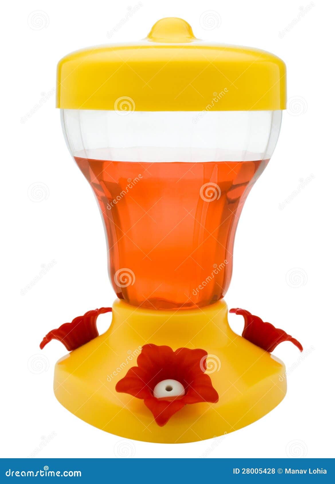Bird Feeder Filled with Liquid Stock Photo Image of filled, liquid