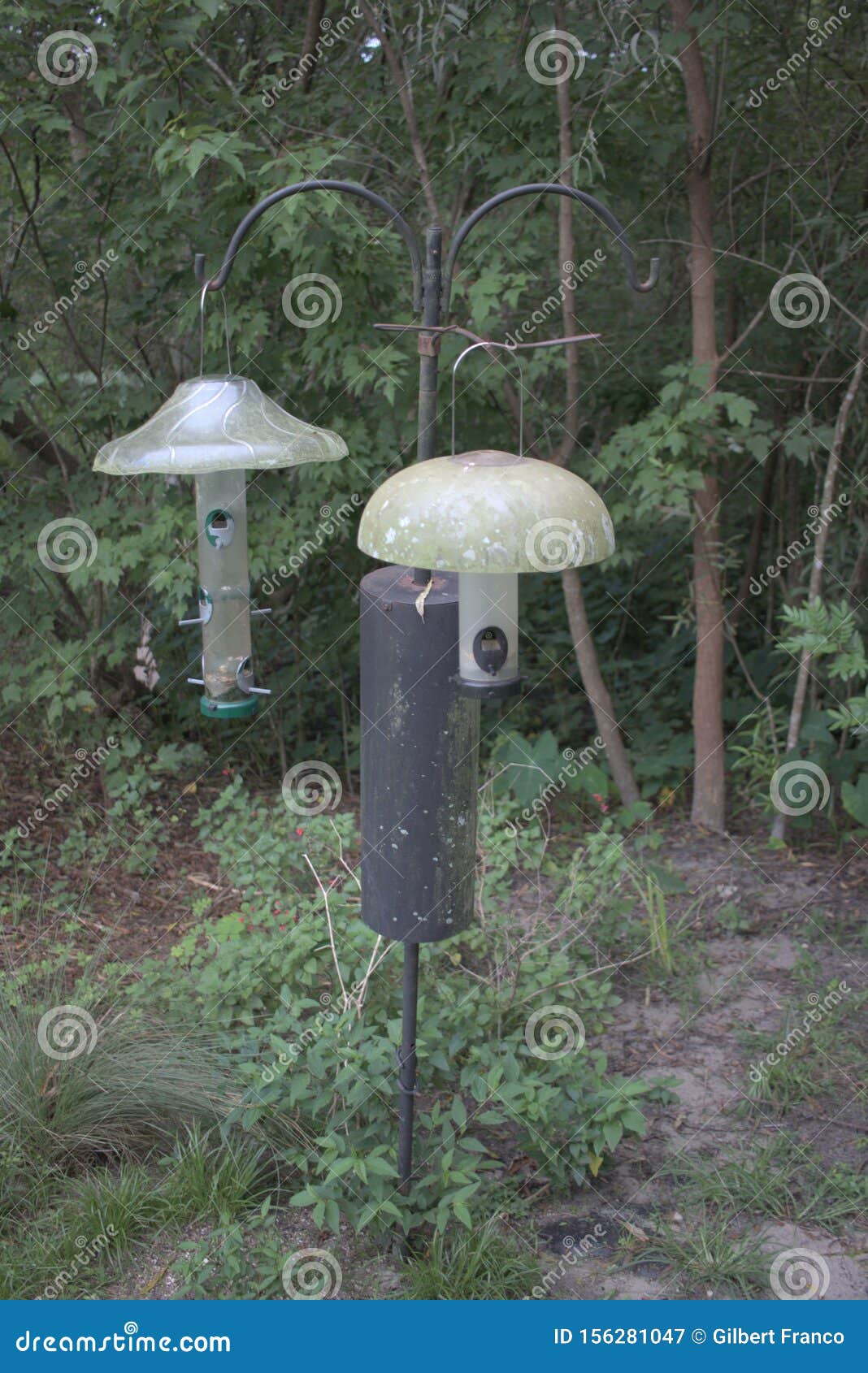 Bird Feeders In Mead Botanical Garden Stock Image Image Of