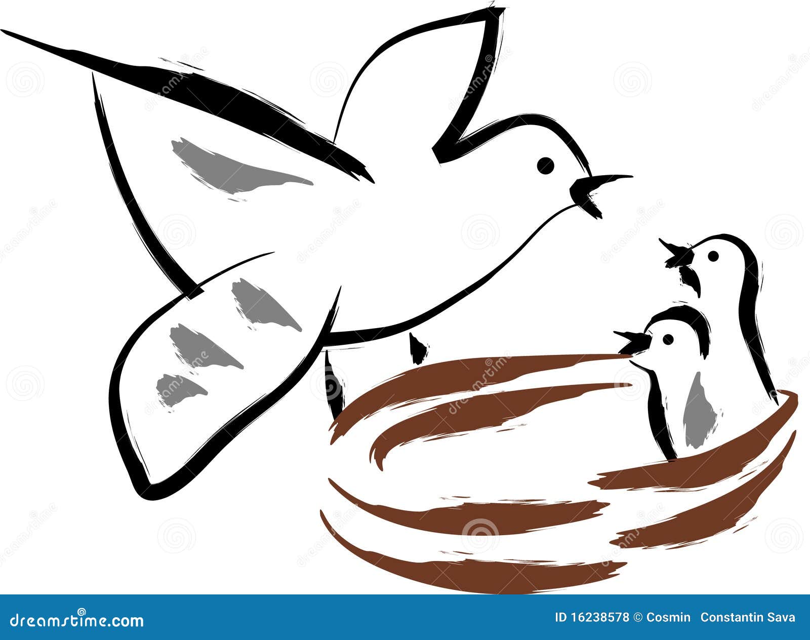 Bird feeding stock vector. Illustration of cartoon, draw 16238578