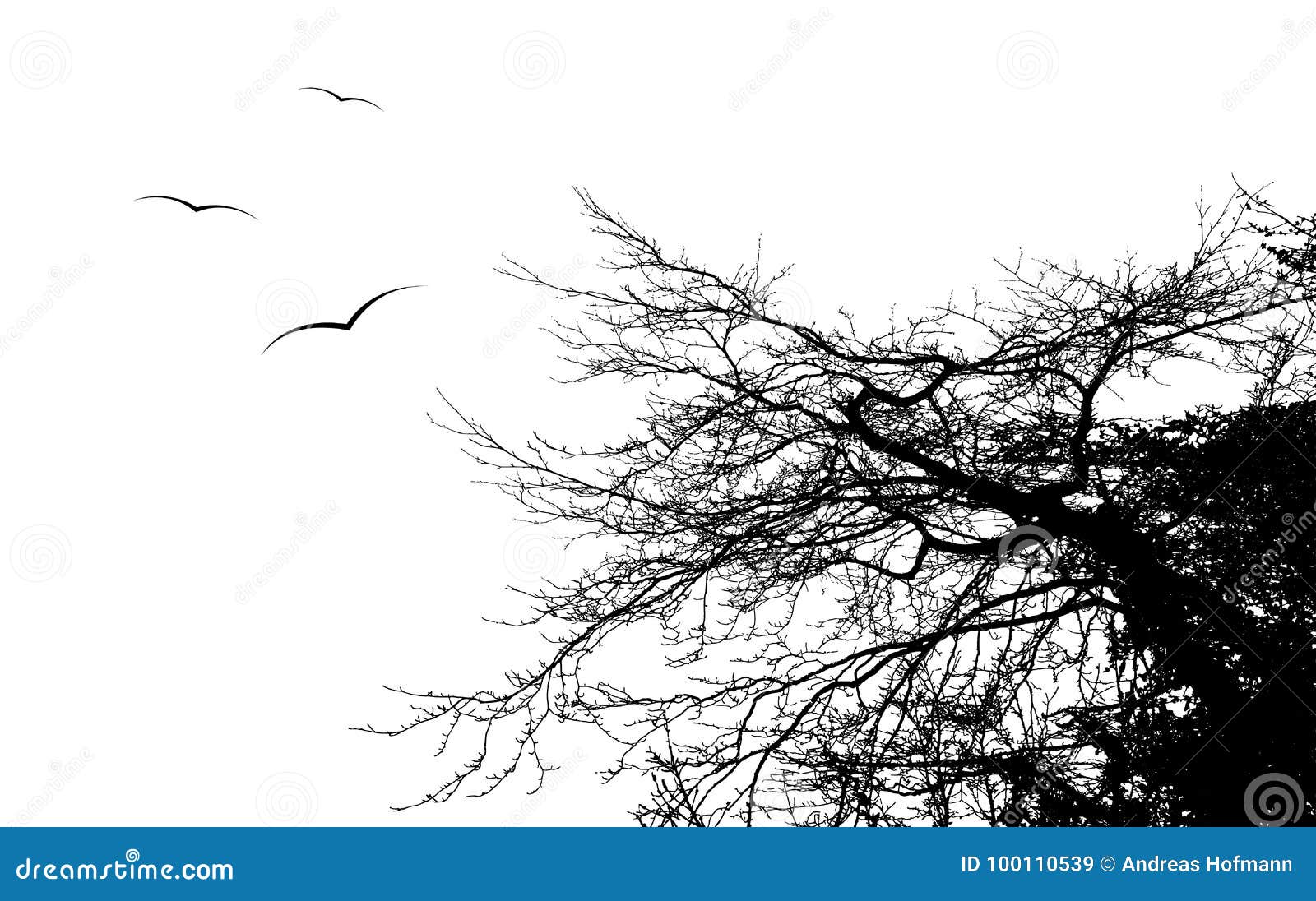 Bird Flying Around Tree Branch Eps10 Stock Illustrations – 3 Bird ...