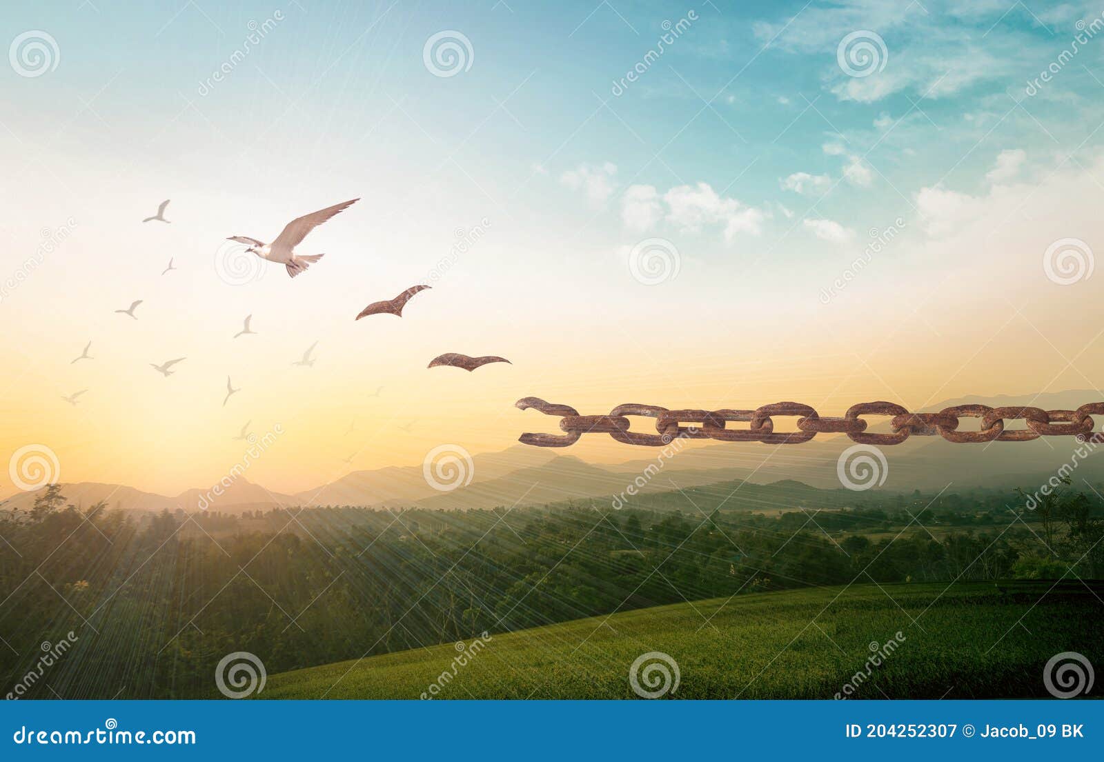 bird flying and broken chains