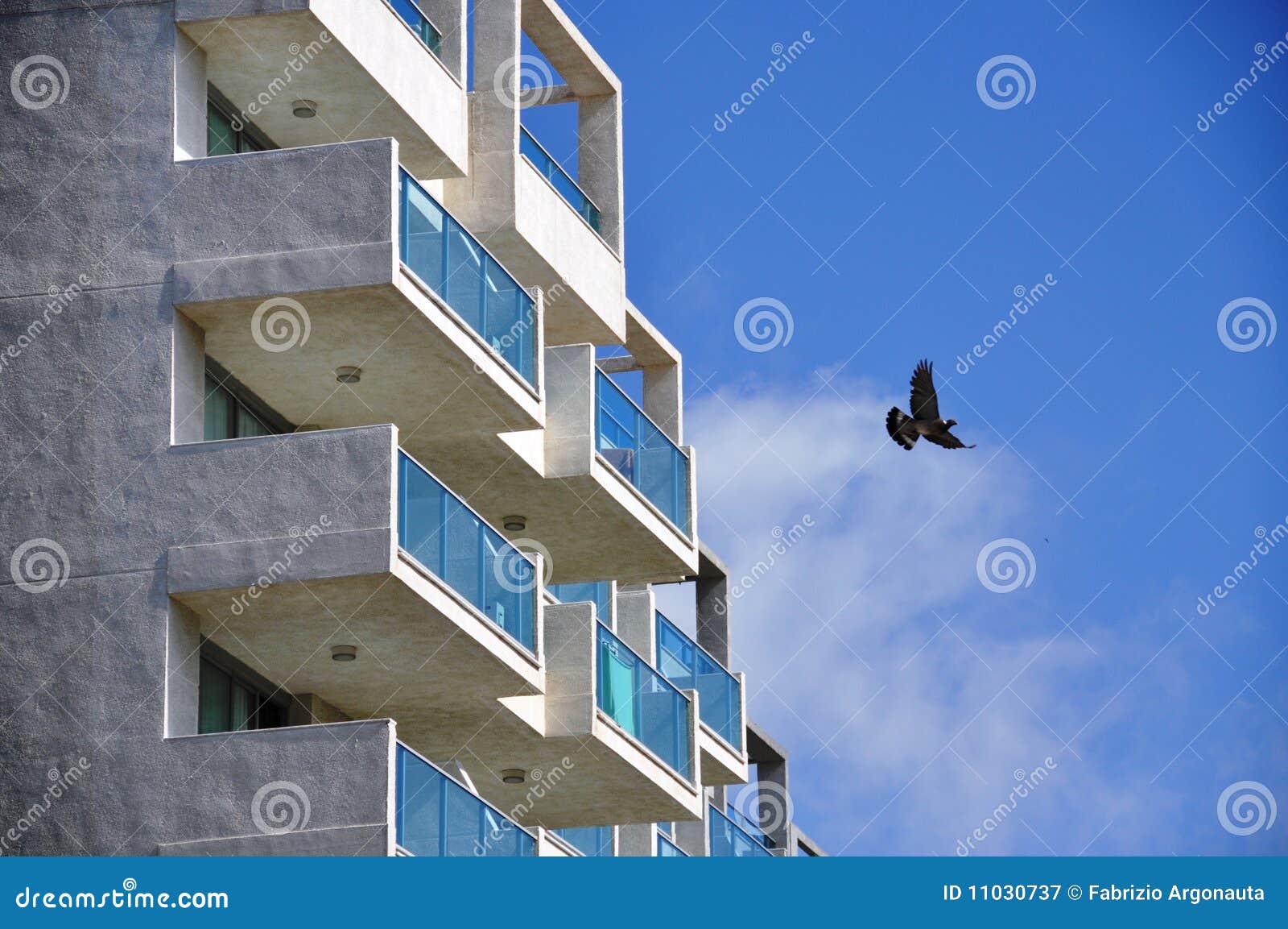 Bird Flying Near Apartments Stock Image Image of wings, spreading