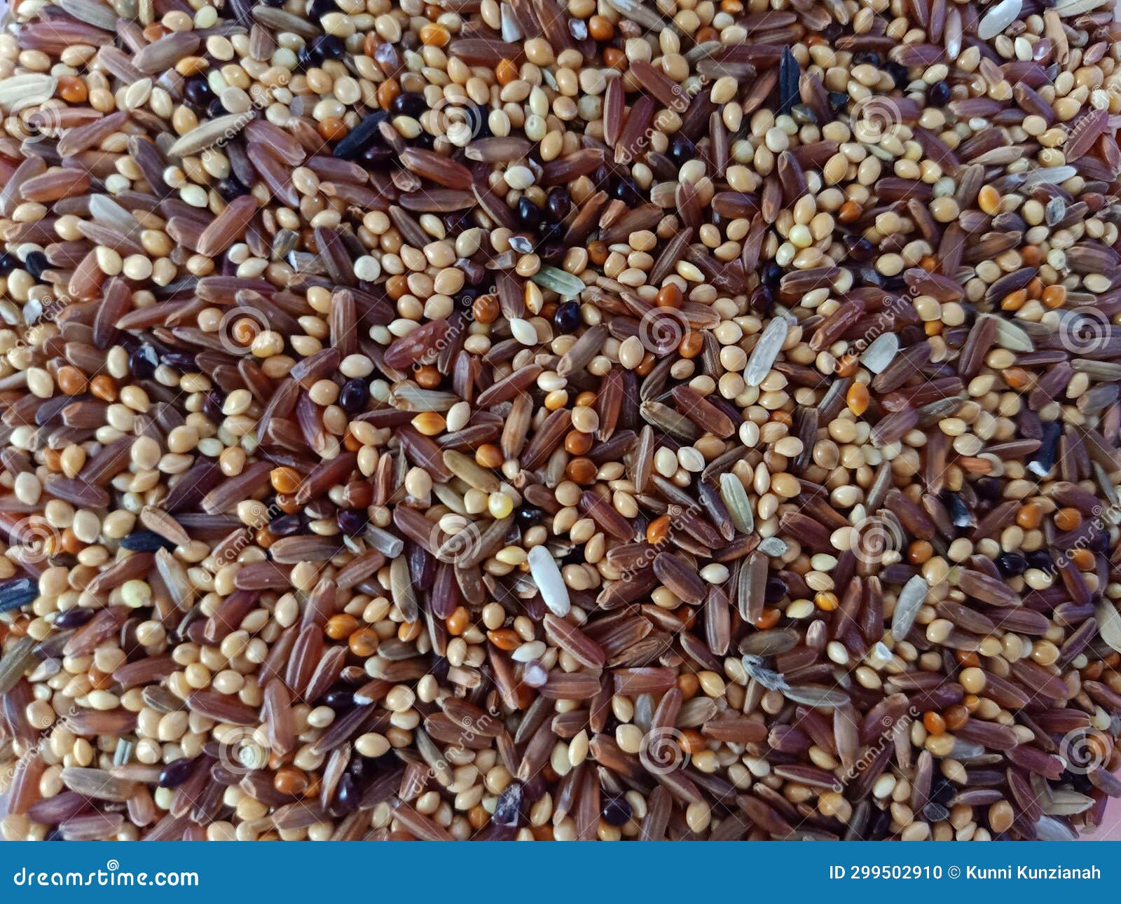 Bird Food Ingredients are White Rice ,brown Rice, Millet, Mustard Seeds
