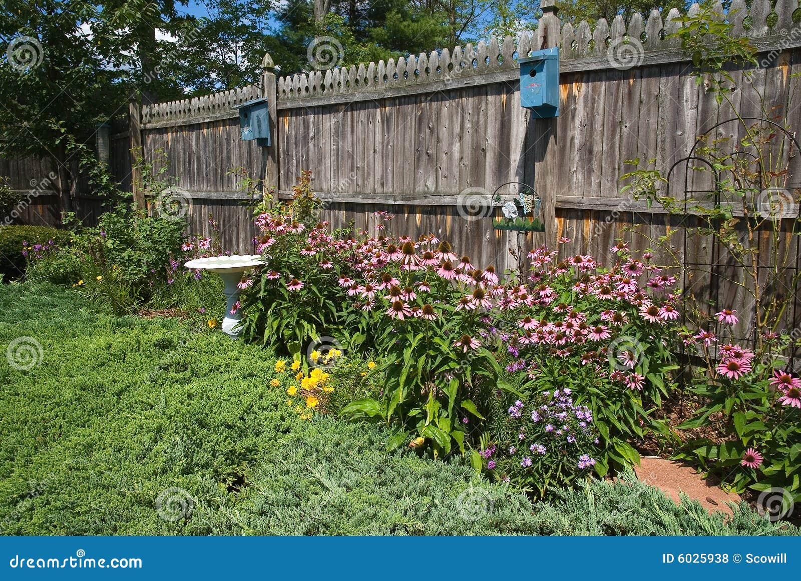 Bird Friendly Garden Royalty Free Stock Photos Image 6025938