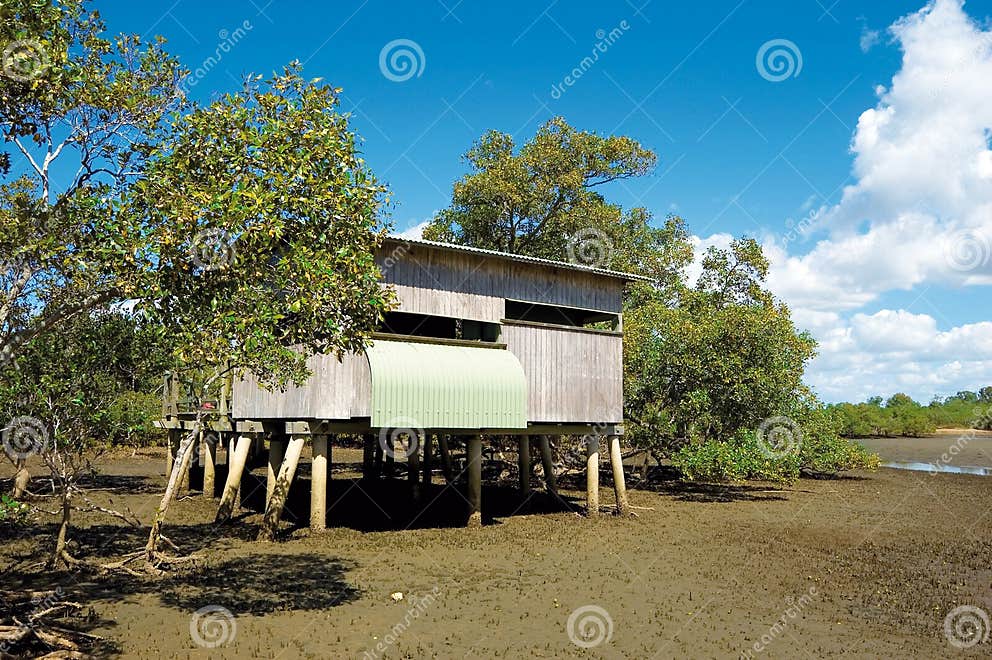 Bird Hide in Mangrove Wetlands at Nudgee, Boondall Wetlands Stock Photo Image of queensland