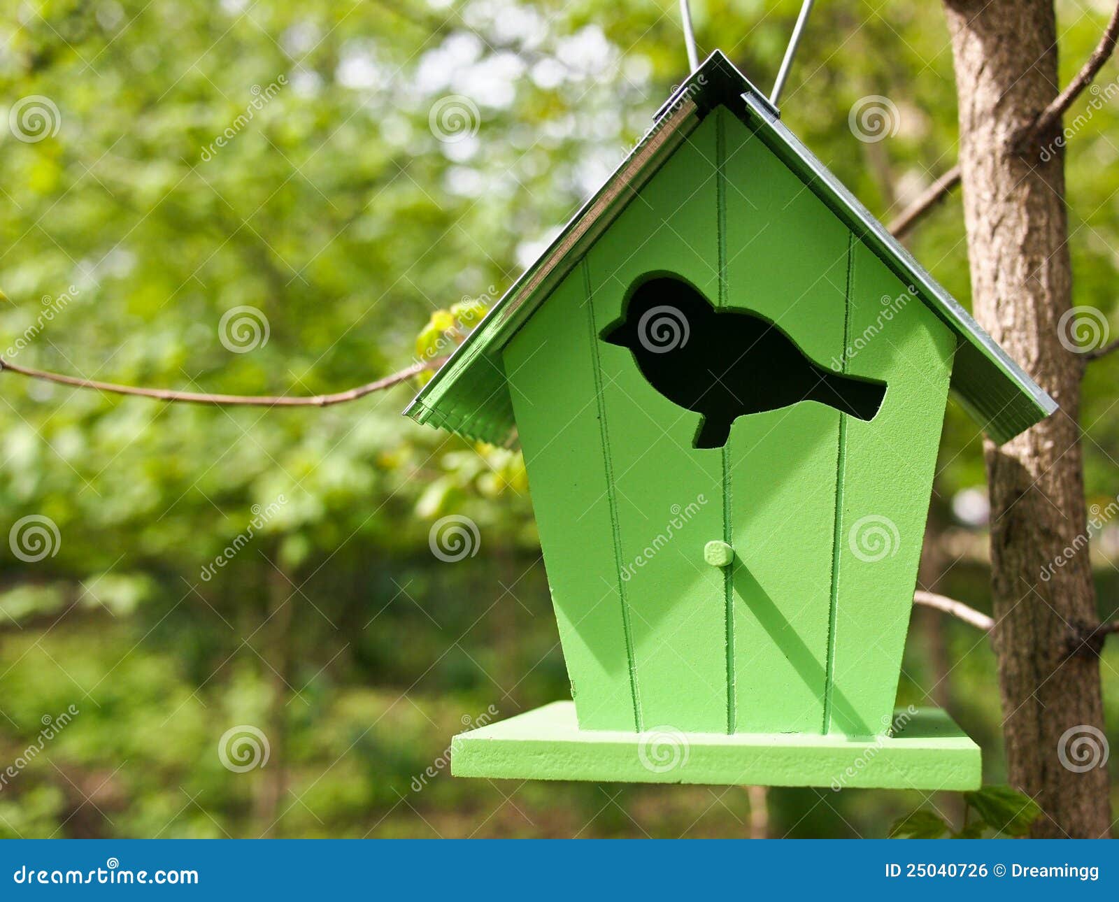 bird home